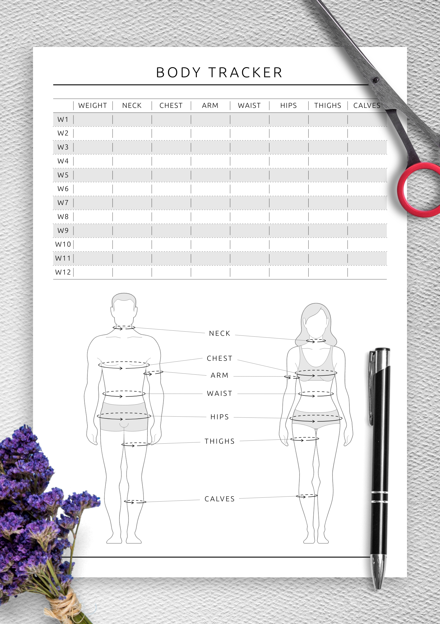 Printable Woman Body Tracking Chart