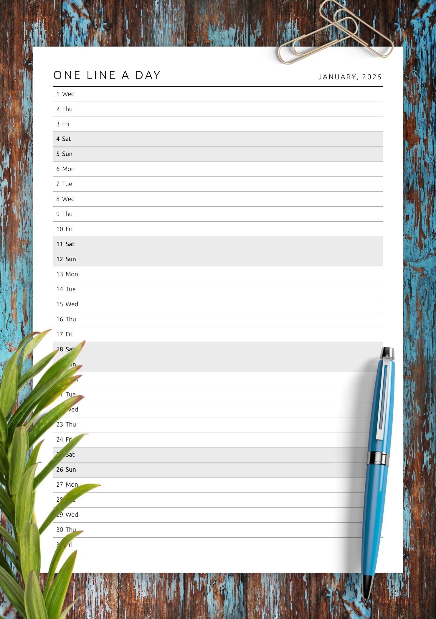 Download Printable One Line A Day Monthly Planner Template PDF