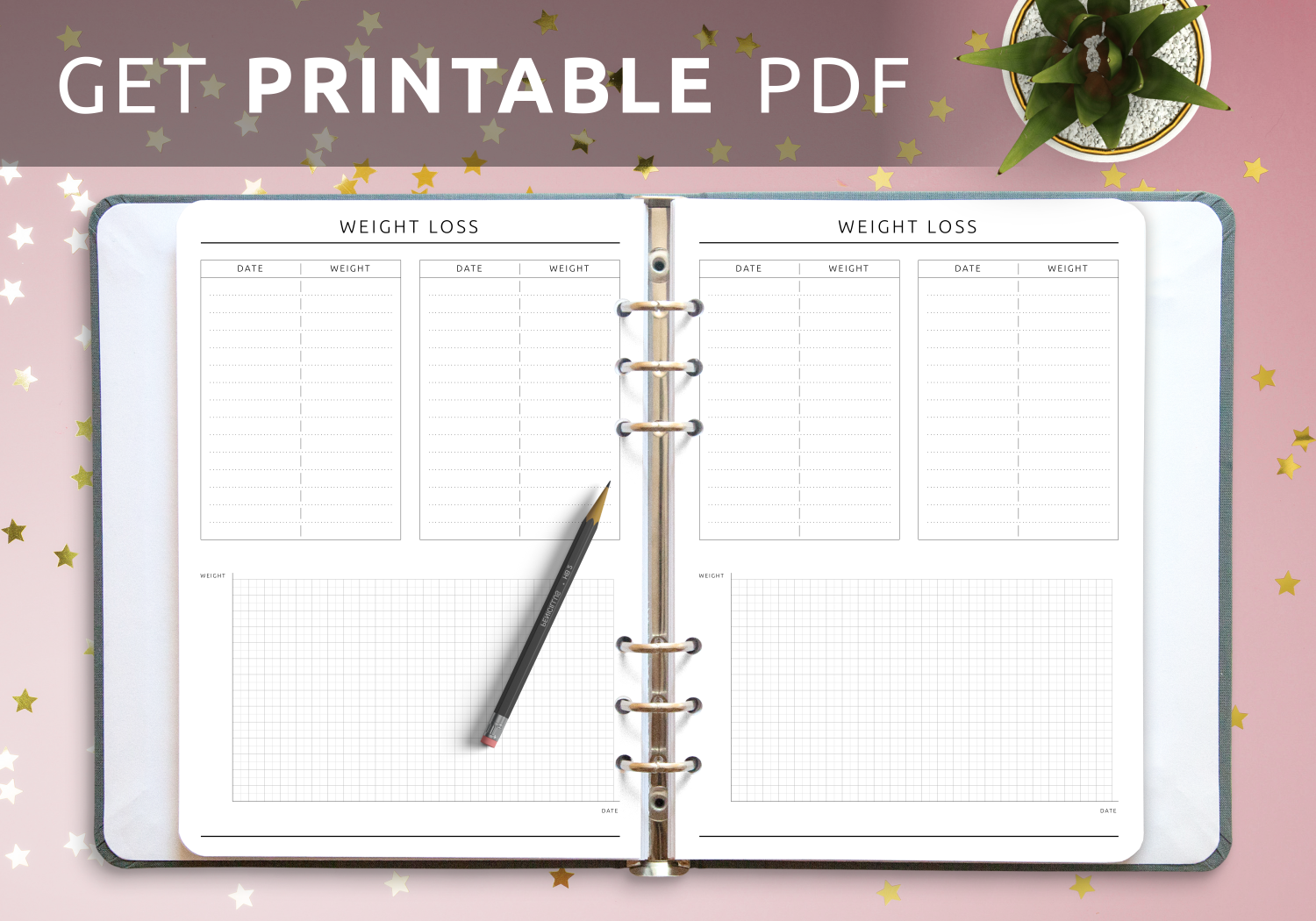 Download Printable Weight Loss Tracker Template PDF