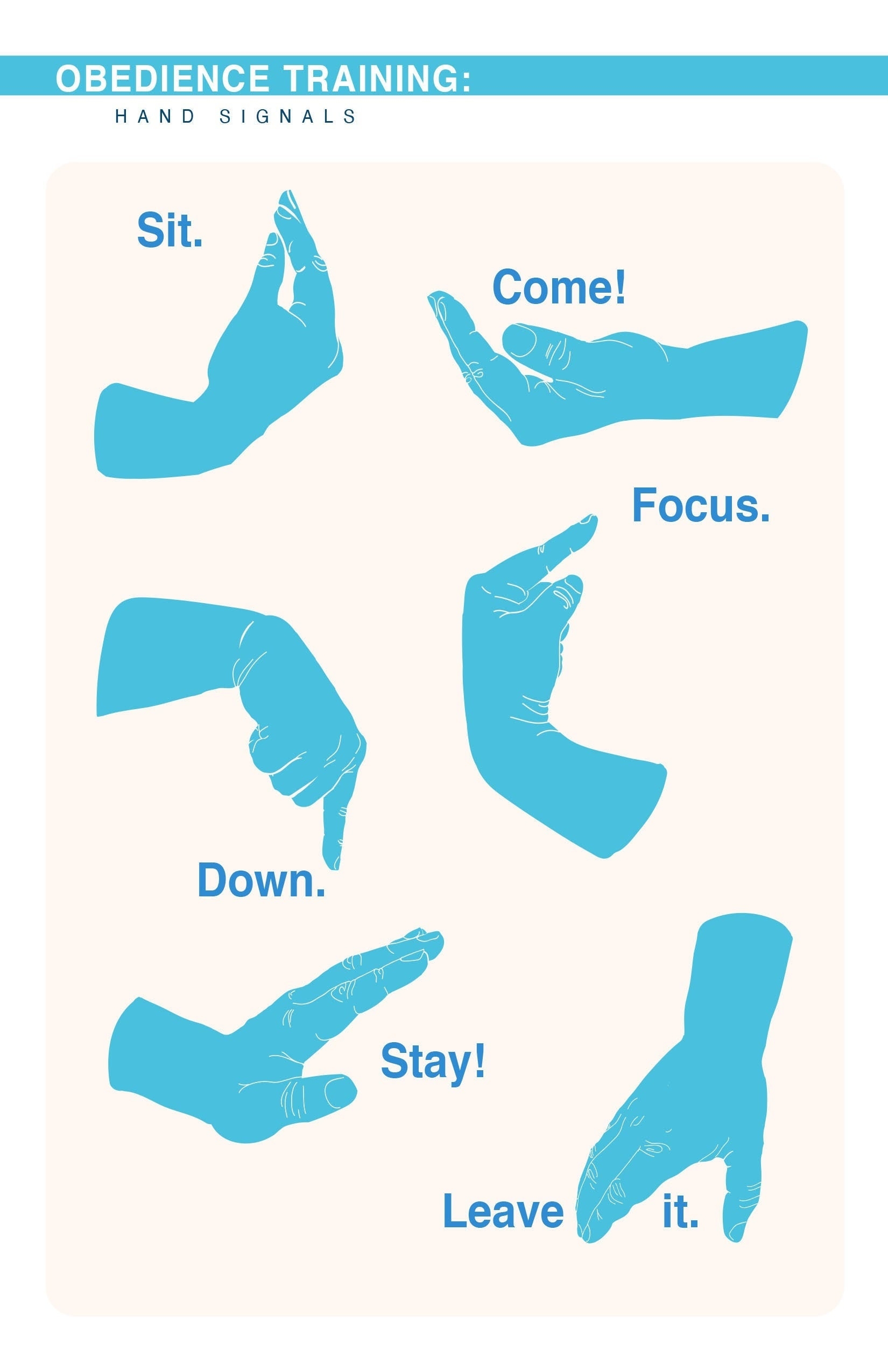 DOWNLOADABLE Obedience Training Hand Signal Poster Etsy