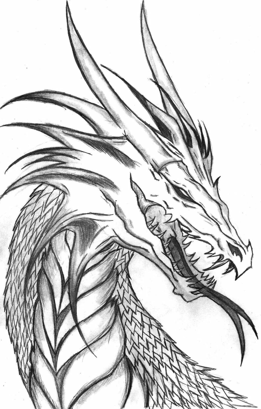 Dragon 148368 Characters Free Printable Coloring Pages