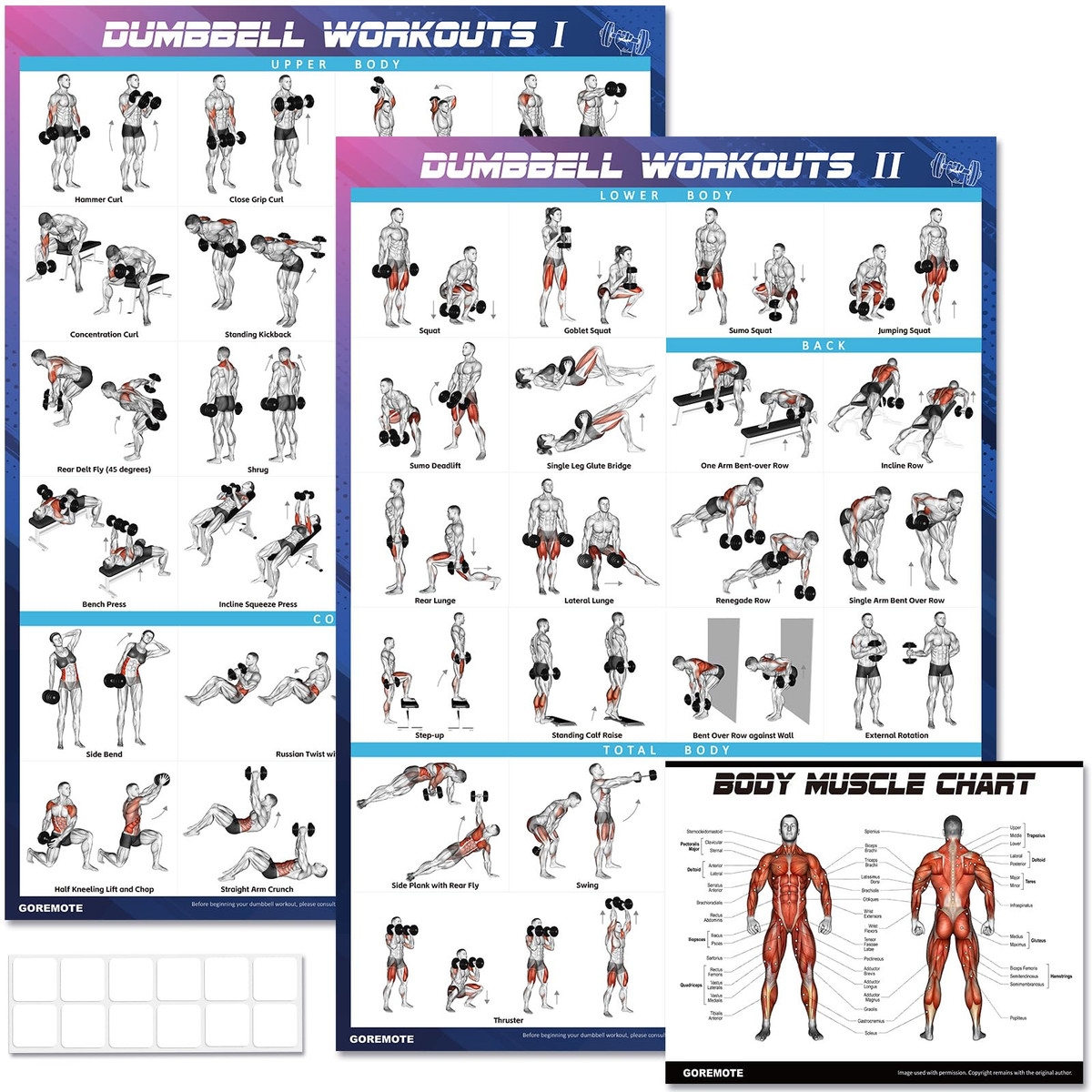 Dumbbell Workout Printable Dumbbell Workout Poster Set 2 Pack Workout Charts For Home Gym