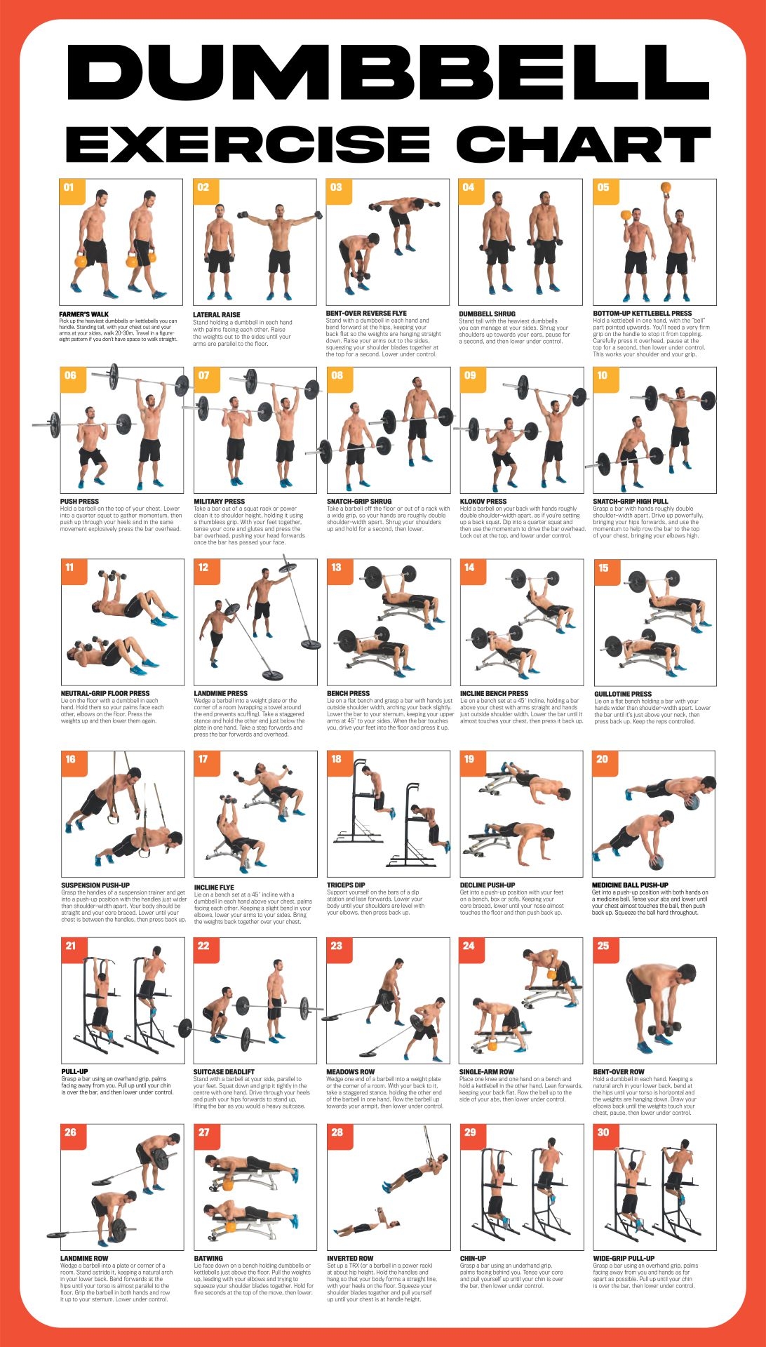 Dumbbell Workout Strength Training Program For Weight Loss Printable Dumbbell Bench Exercise Chart Dumbbell For Gym