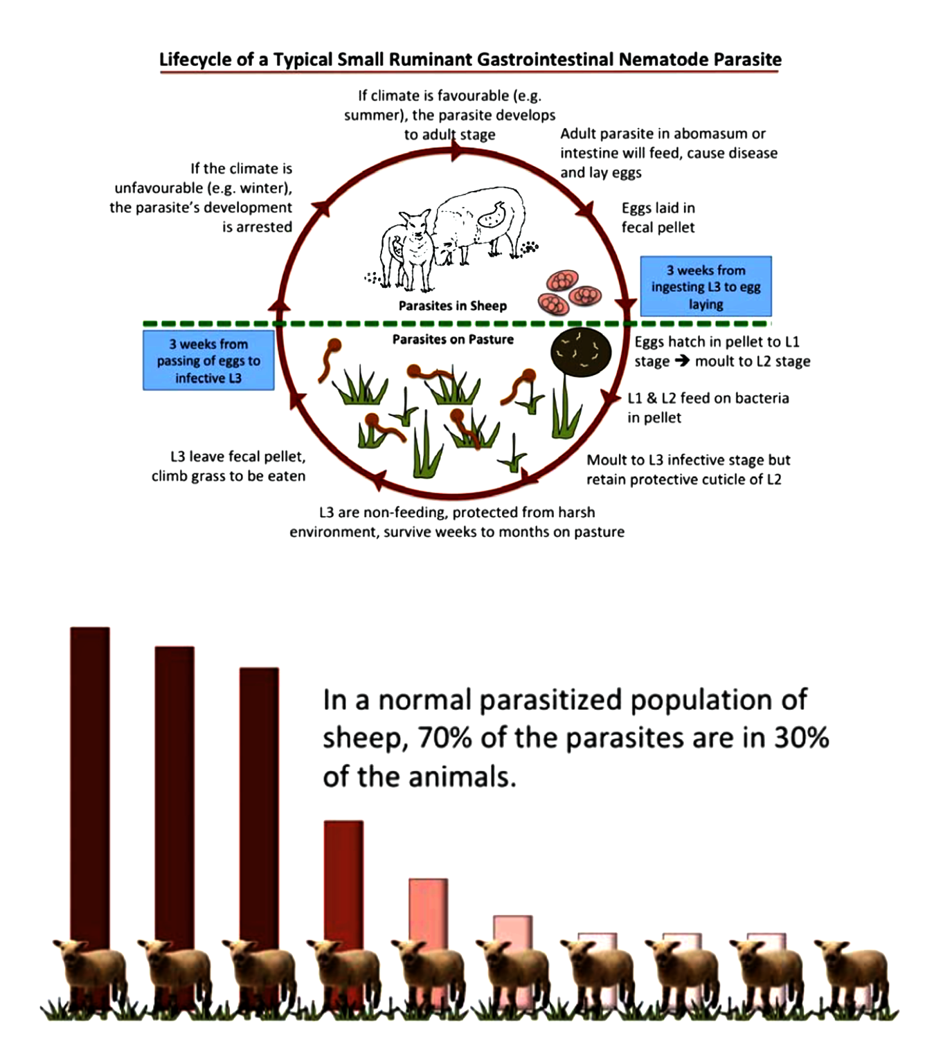 Education Lower Mainland Sheep Producers Association