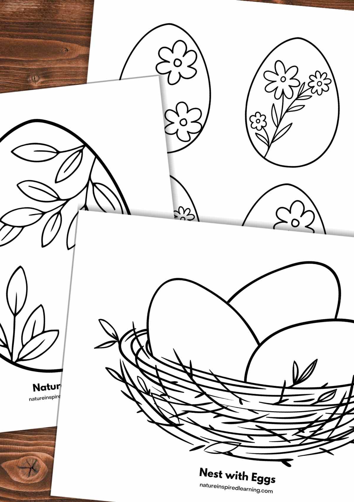 Egg Coloring Pages Nature Inspired Learning