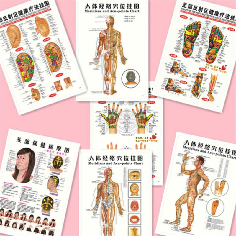 Free Printable Acupuncture Meridian Chart