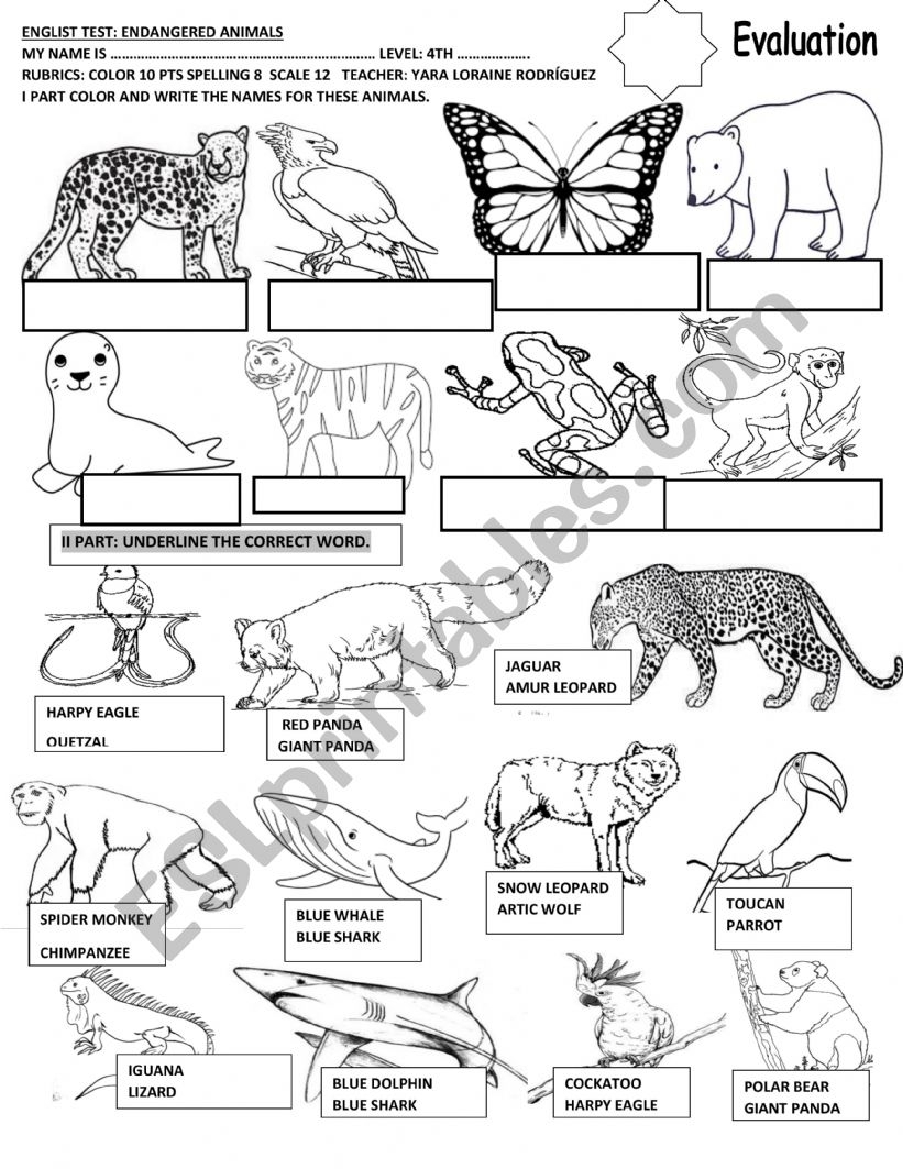English Worksheets ENDANGERED ANIMALS TEST