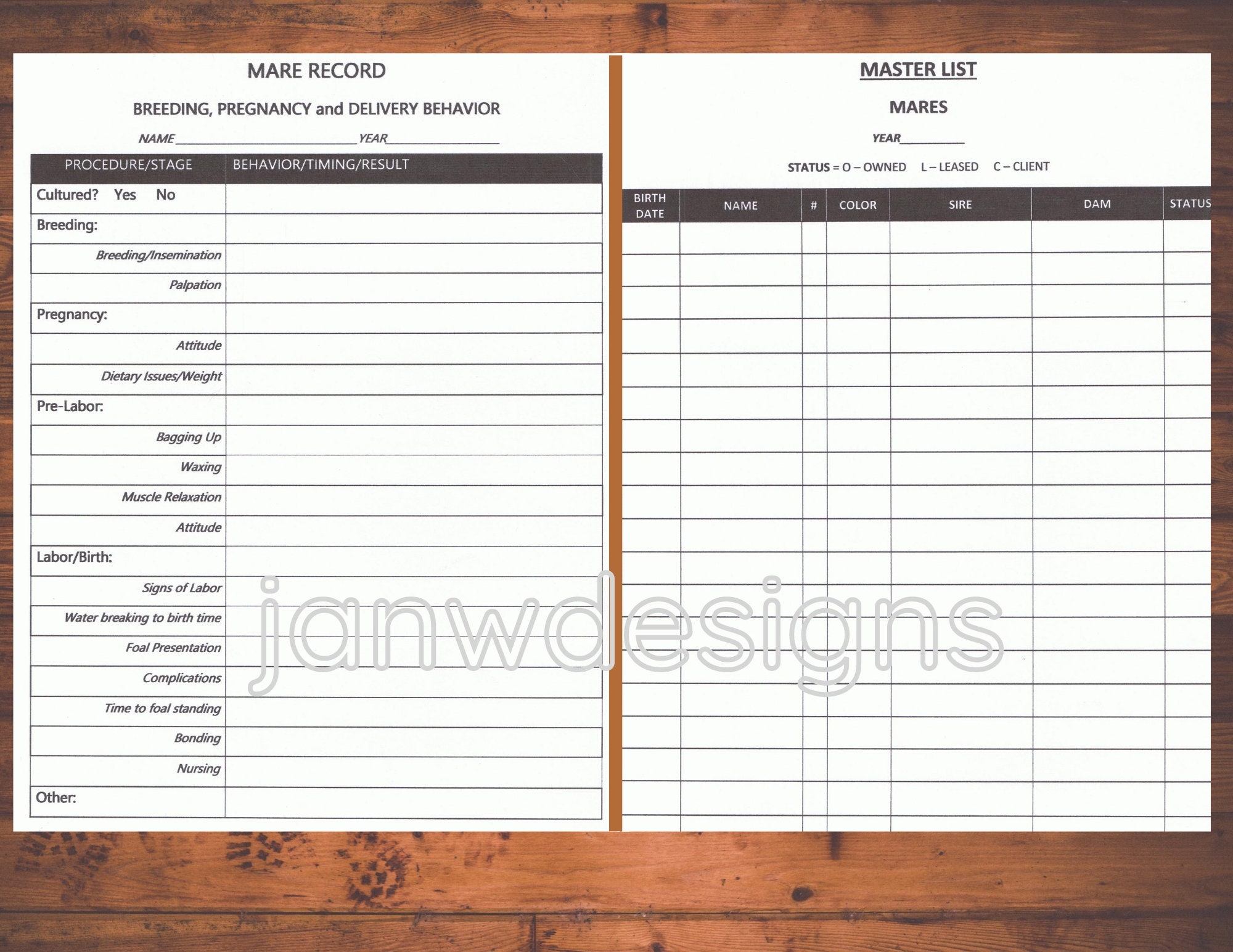 Equine Breeding Journal Horse Record Keeping System letter a4 Etsy