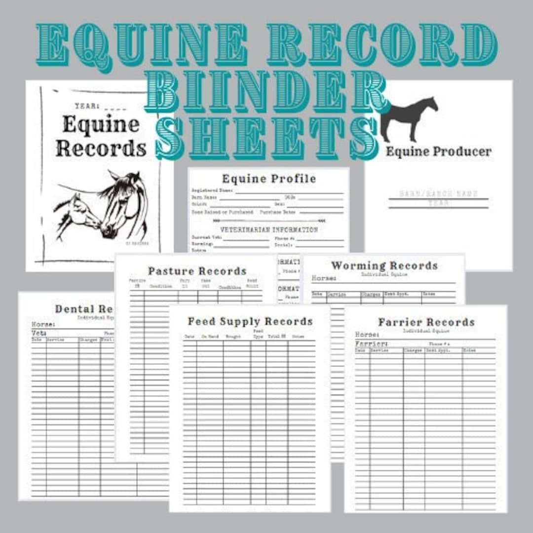 Equine Record Booklet Horse Booklet Health Pasture Farrier Vaccination Year Overlook Monthly Calendar Instant Download Printable Etsy