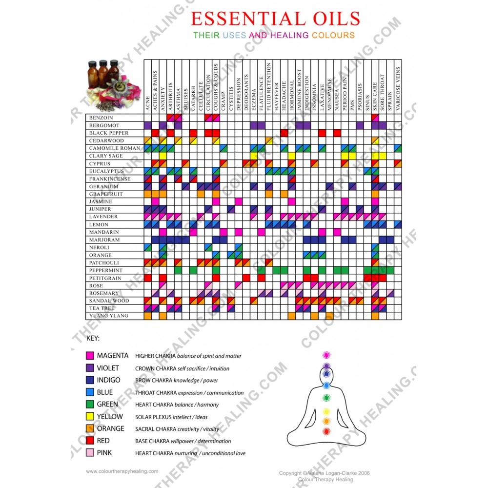 Essential Oils Poster PDF Download
