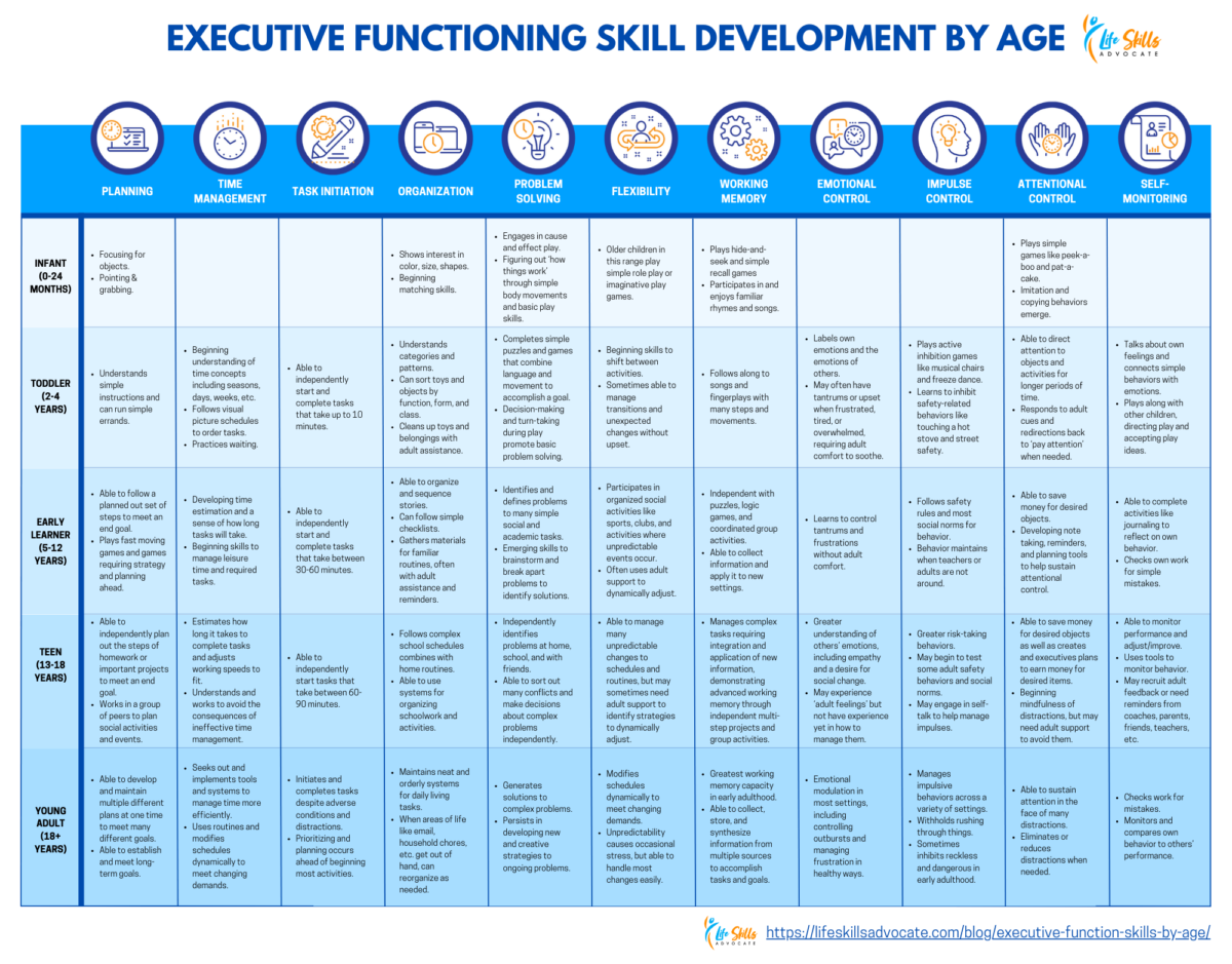 Executive Function Skills By Age What To Look For Life Skills Advocate
