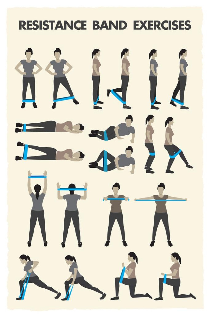 Exercise Chart For Beginners At Home Sales