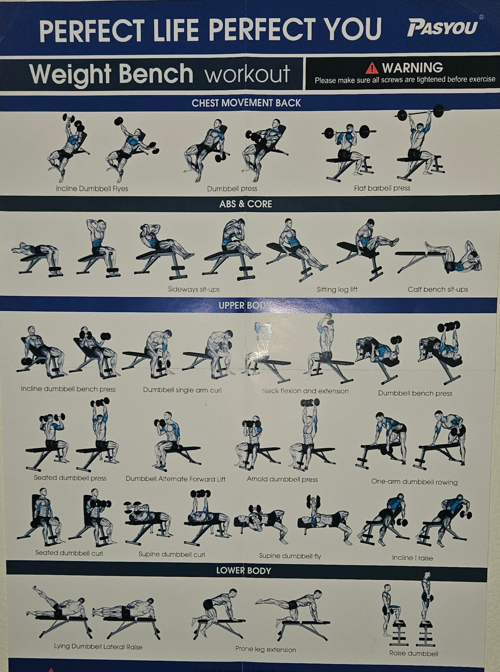 Exercises Chart Weight Bench Routine For Beginners Chart Full Body Weight Bench Workout Printable Home Gym