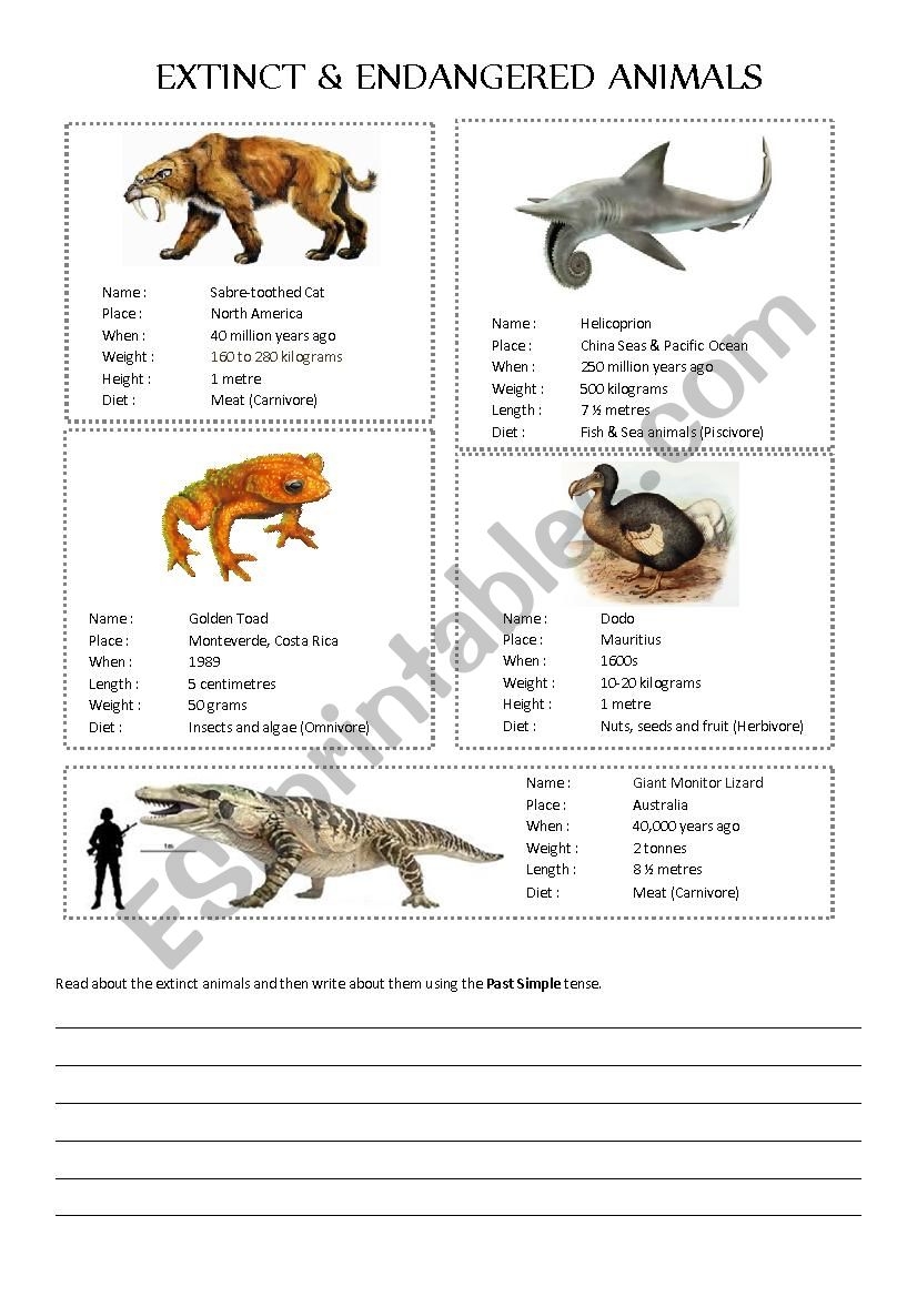Extinct And Endangered Animals ESL Worksheet By Kirstyjay