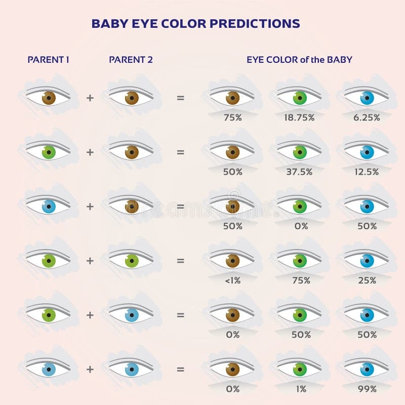 Eye Color Chart Stock Illustrations 1 773 Eye Color Chart Stock Illustrations Vectors Clipart Dreamstime