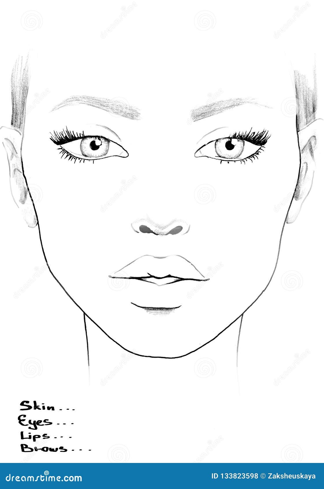 Face Chart Makeup Artist Blank Beautiful Woman Portrait Face Chart Makeup Artist Blank Template Stock Illustration Illustration Of Brows Element 133823598