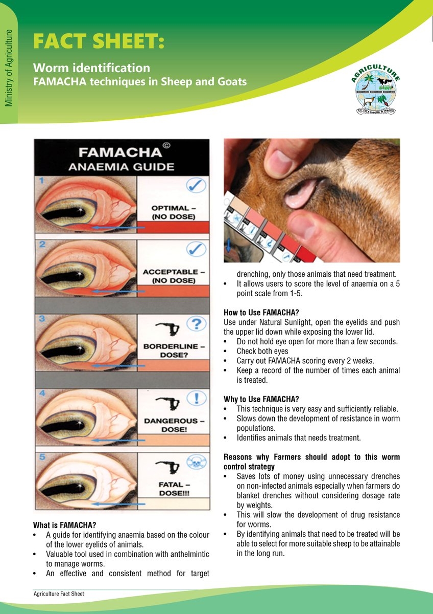 Fact Sheet On Worm Identification FAMACHA Techniques In Sheep And Goats