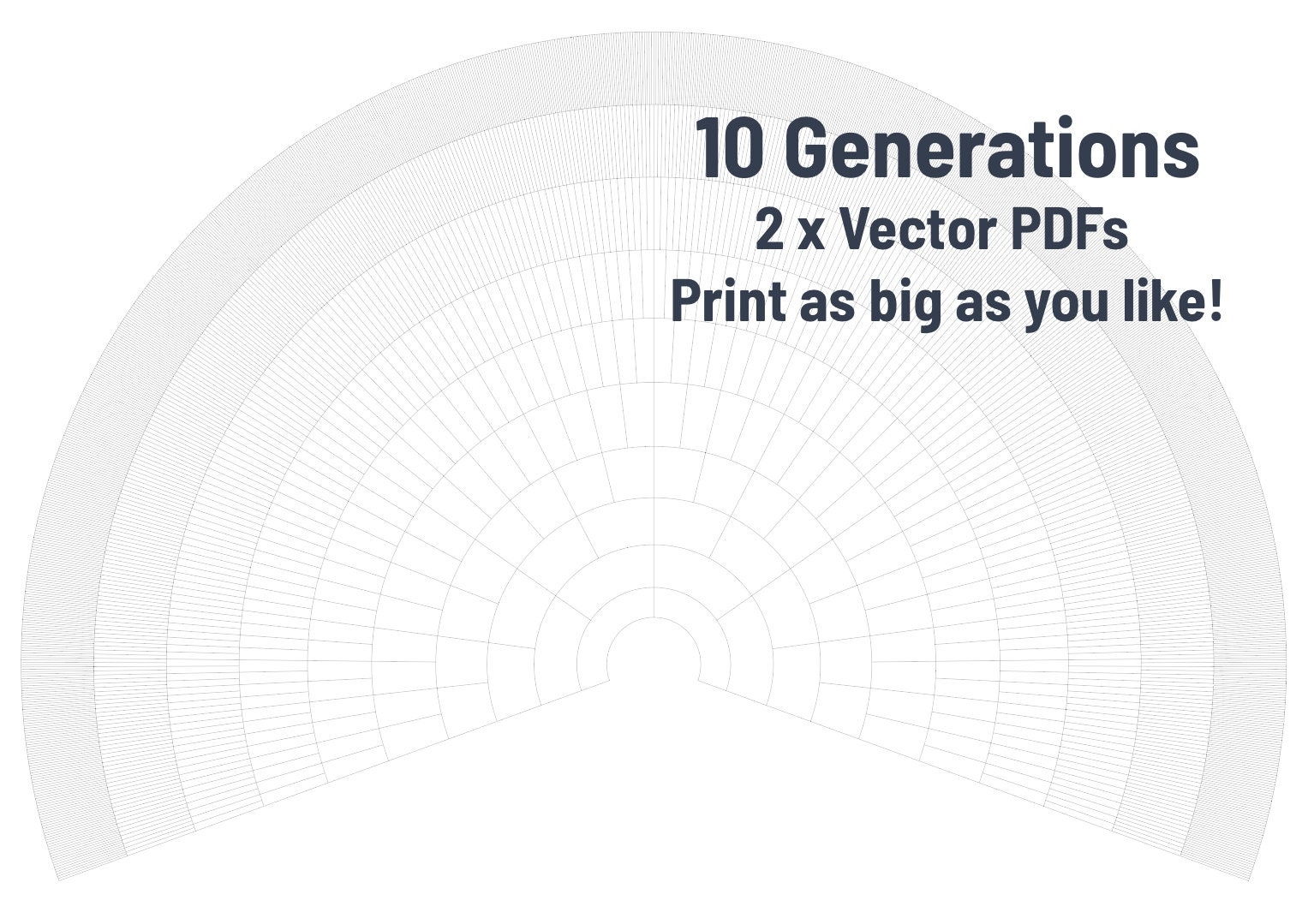 Family Tree 10 Gen Blank Fan Chart 2 Versions Ready To Print Vector Digital File Etsy
