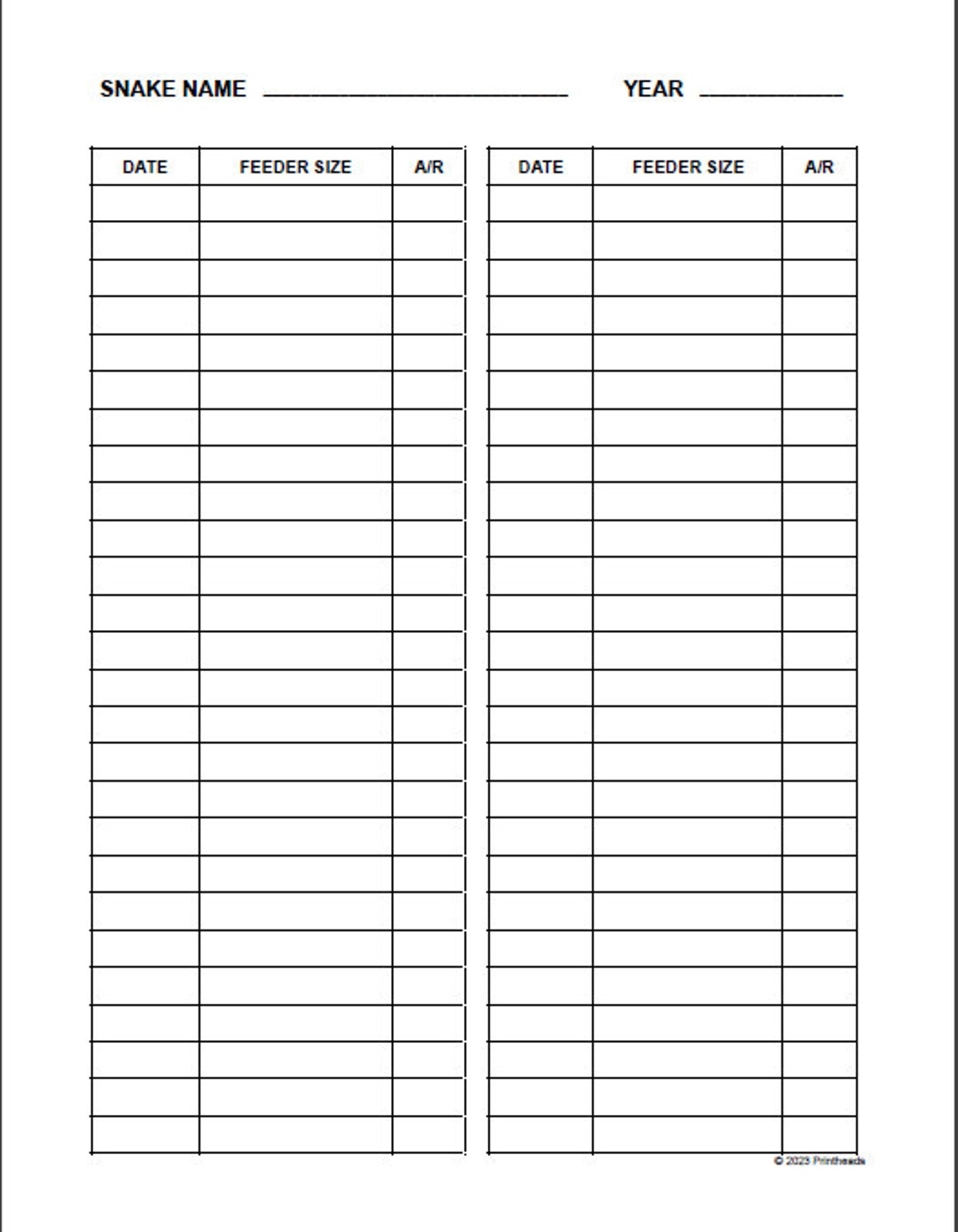 Feeding Record Single Snake Etsy