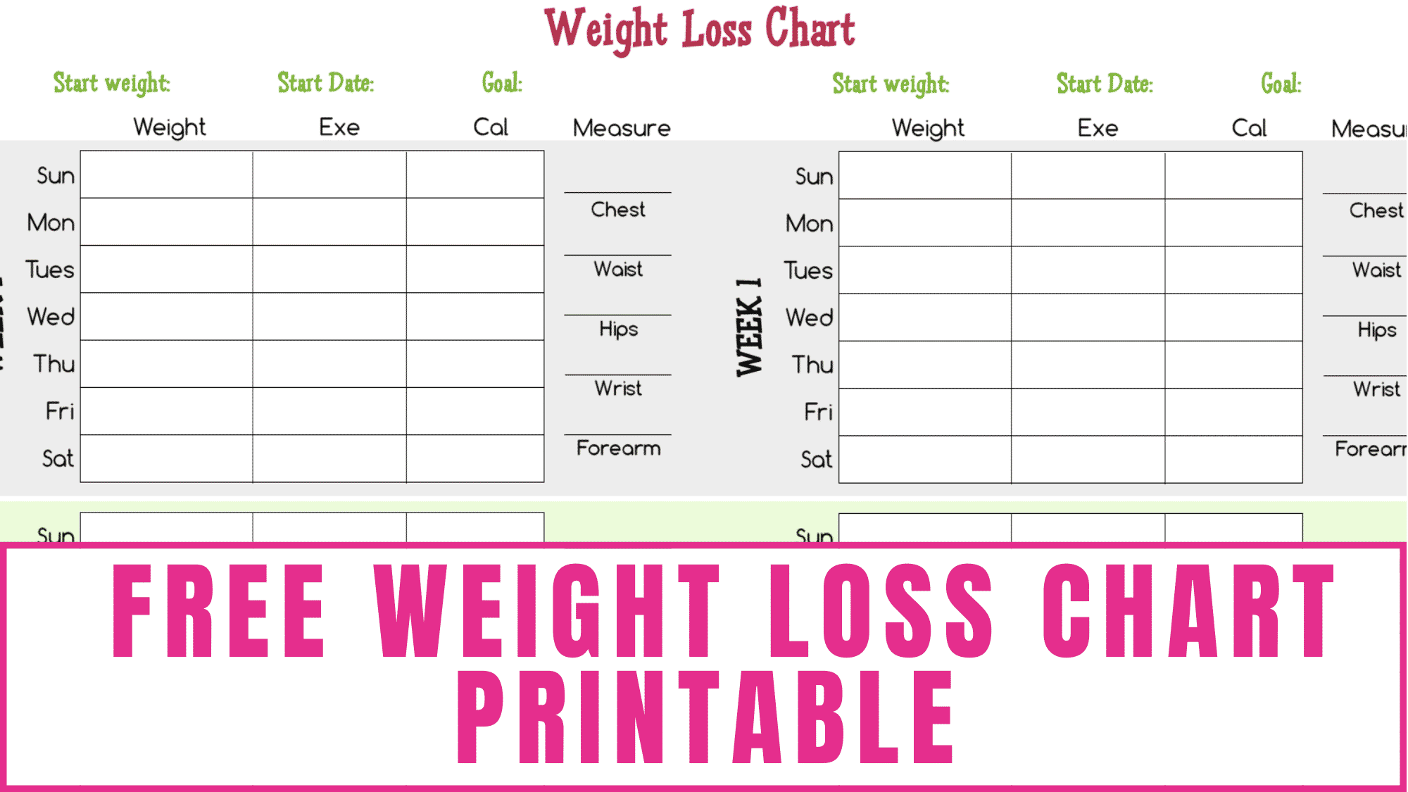 Printable Body Chart Joint Female Printable Body Chart Joint Female