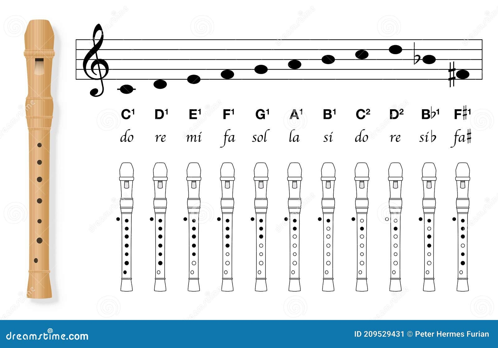 Printable Recorder Fingering Chart