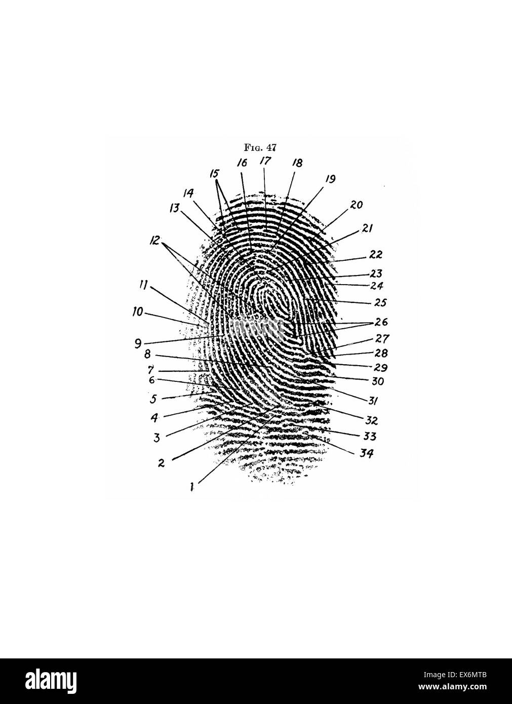 Fingerprint Diagram 1940 Frederick Kuhne The Finger Print Instructor Based Upon The Sir E R Henry System Of Classifying And Filing Stock Photo Alamy Fingerprint Diagram 1940 Frederick Kuhne The Finger Print Instructor Based Upon The Sir E R Henry System Of Classifying And Filing Stock Photo Alamy