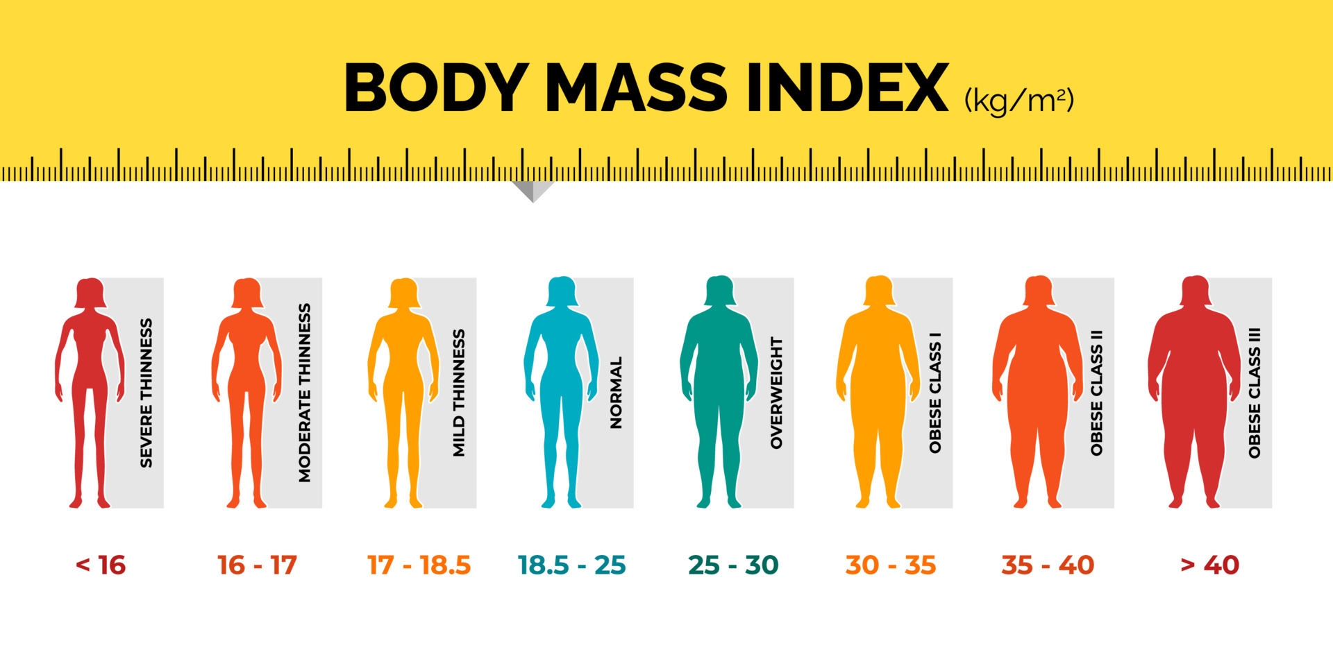 Free BMI Calculator Obesity Scale Chart Check Eligibility 