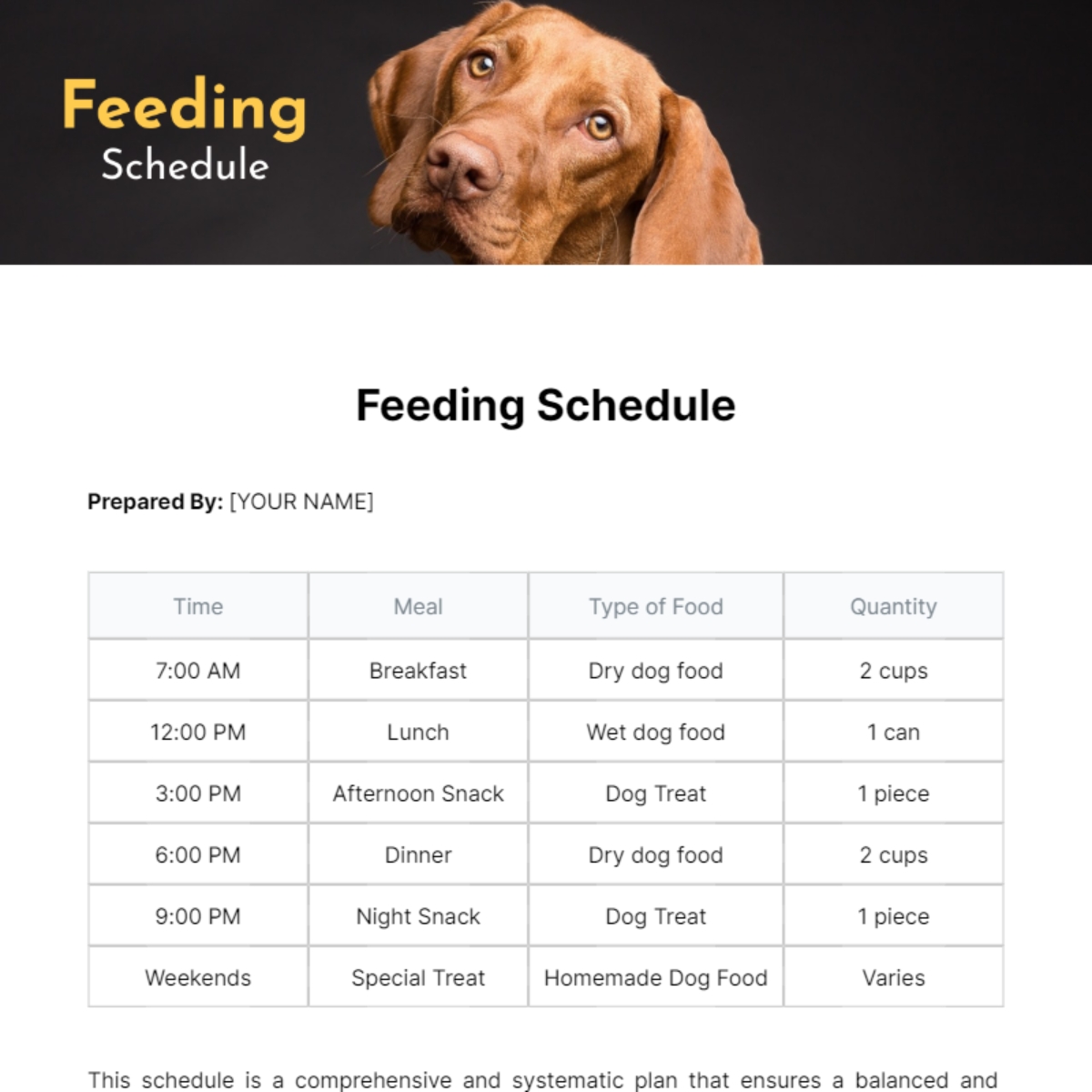 Pet Feeding Chart Free Printable