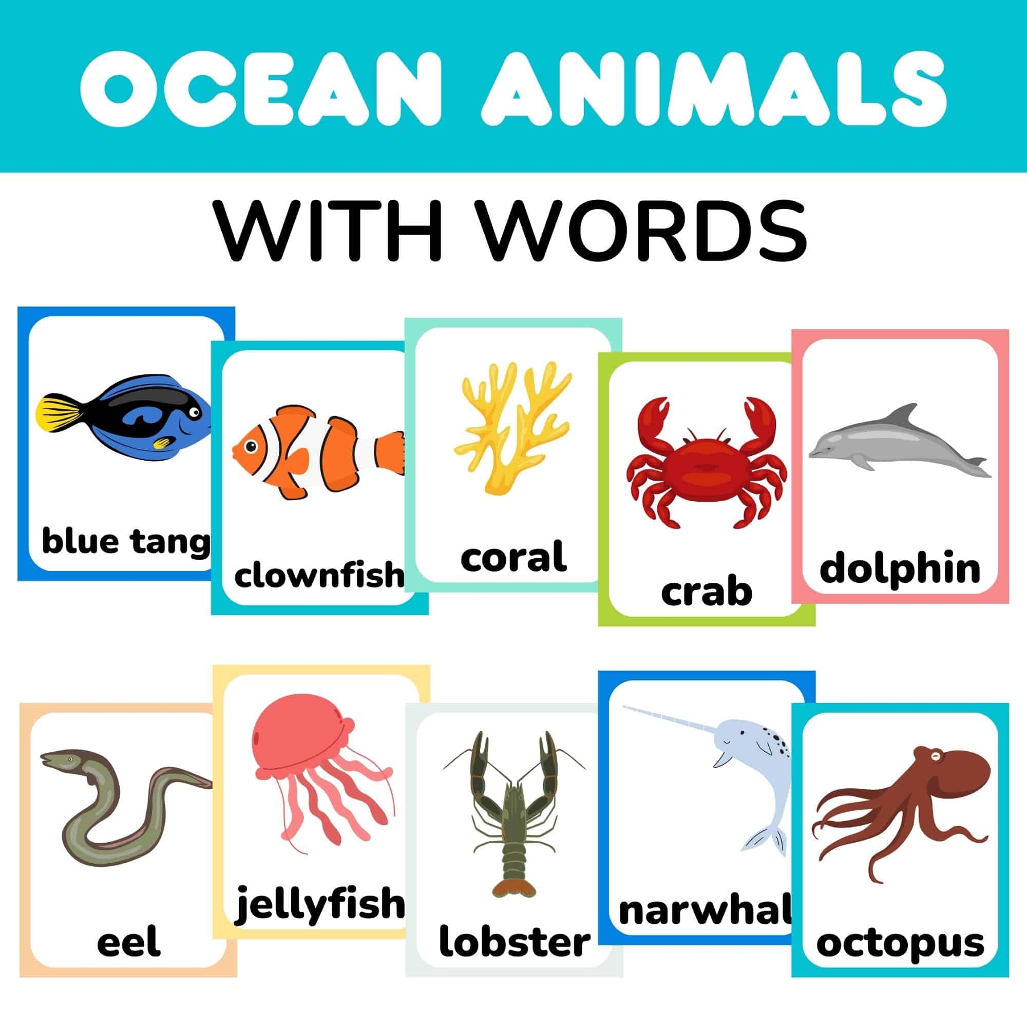 Free Ocean Animal Flashcards With Words PDF