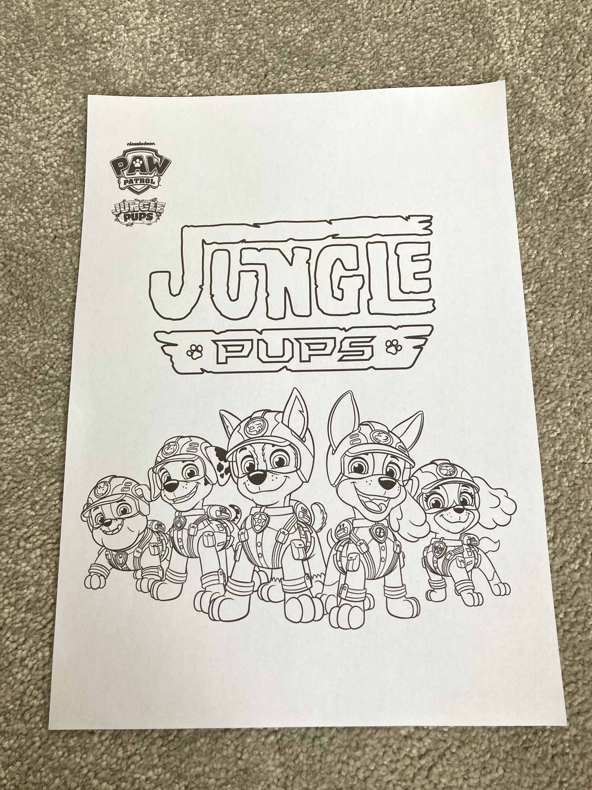 Paw Patrol Free Printable Coloring Sheets