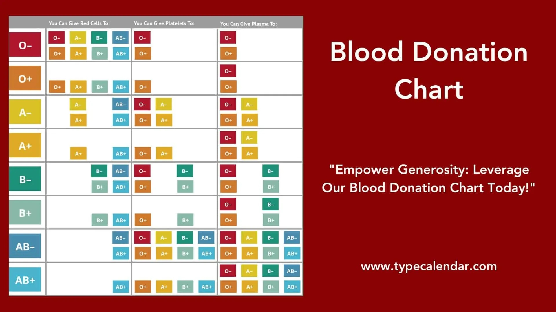 Free Printable Blood Donation Charts Types Explained A B AB And O 