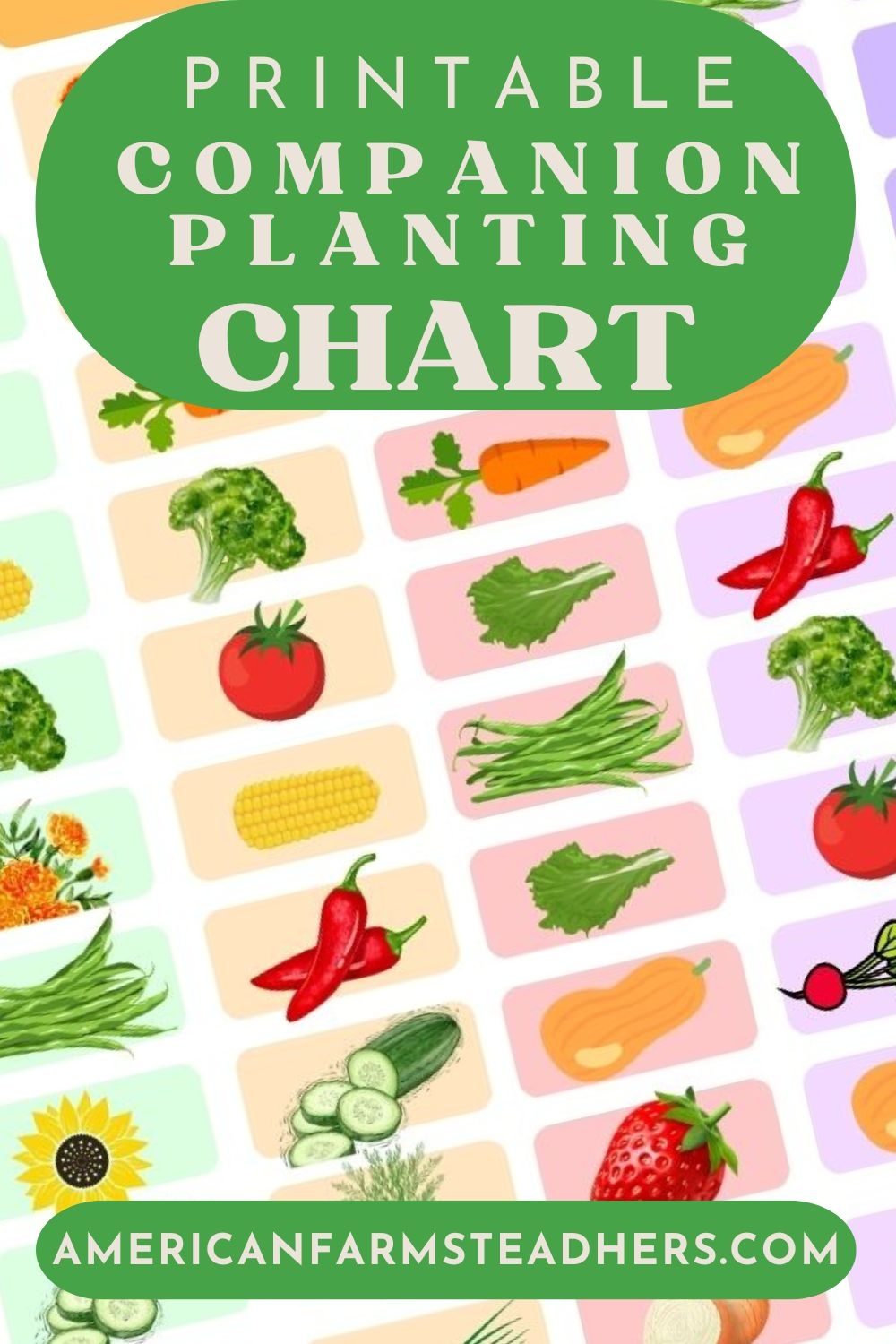  Free Printable Companion Planting Chart 