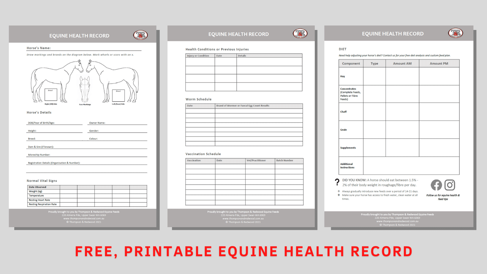 FREE PRINTABLE EQUINE HEALTH RECORD Thompson And Redwood
