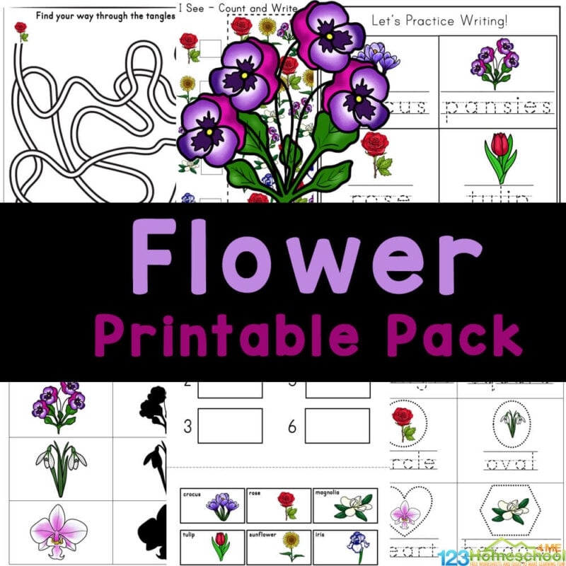  FREE Printable Flower Worksheets For Kids