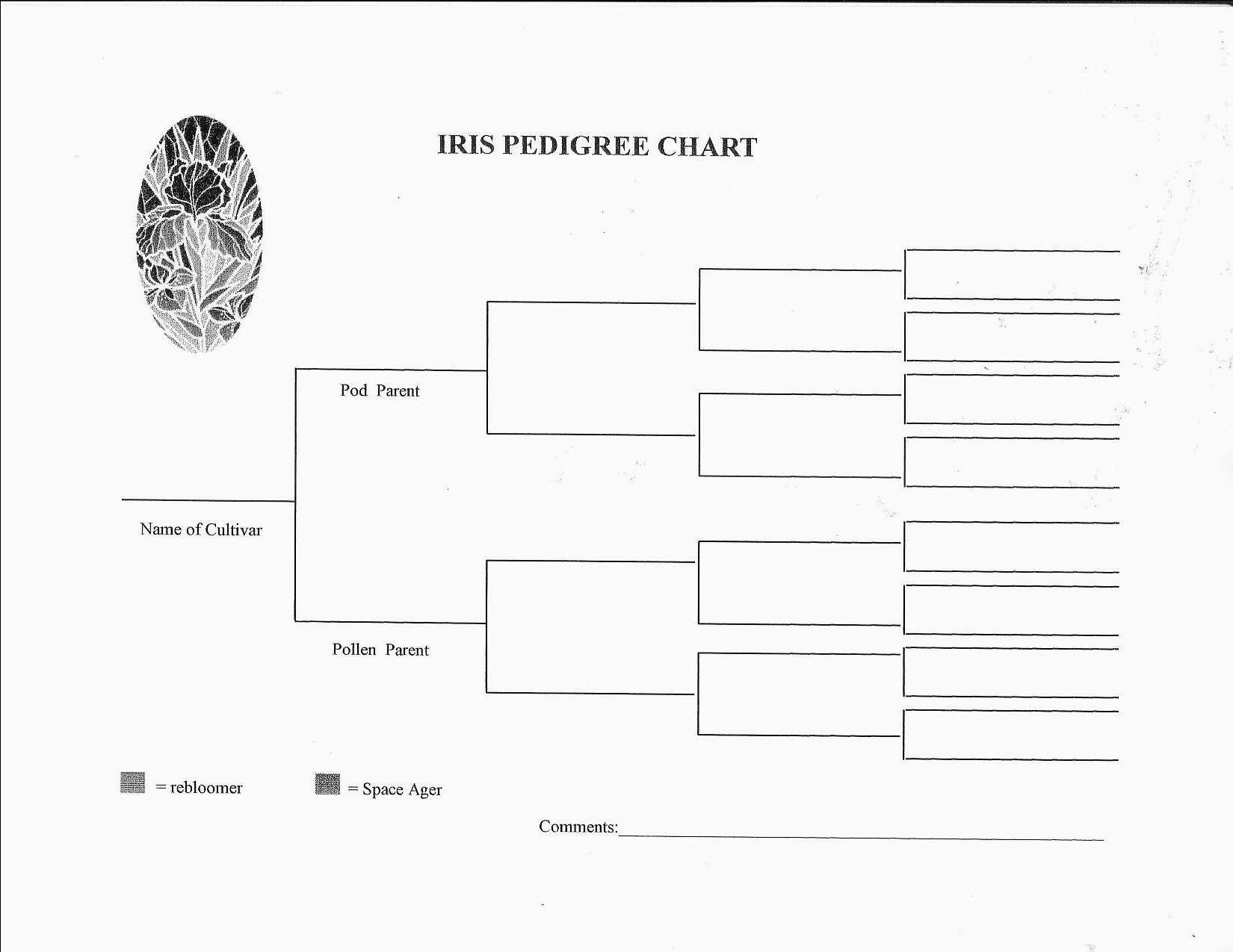 Printable Blank Pedigree Chart For Dogs