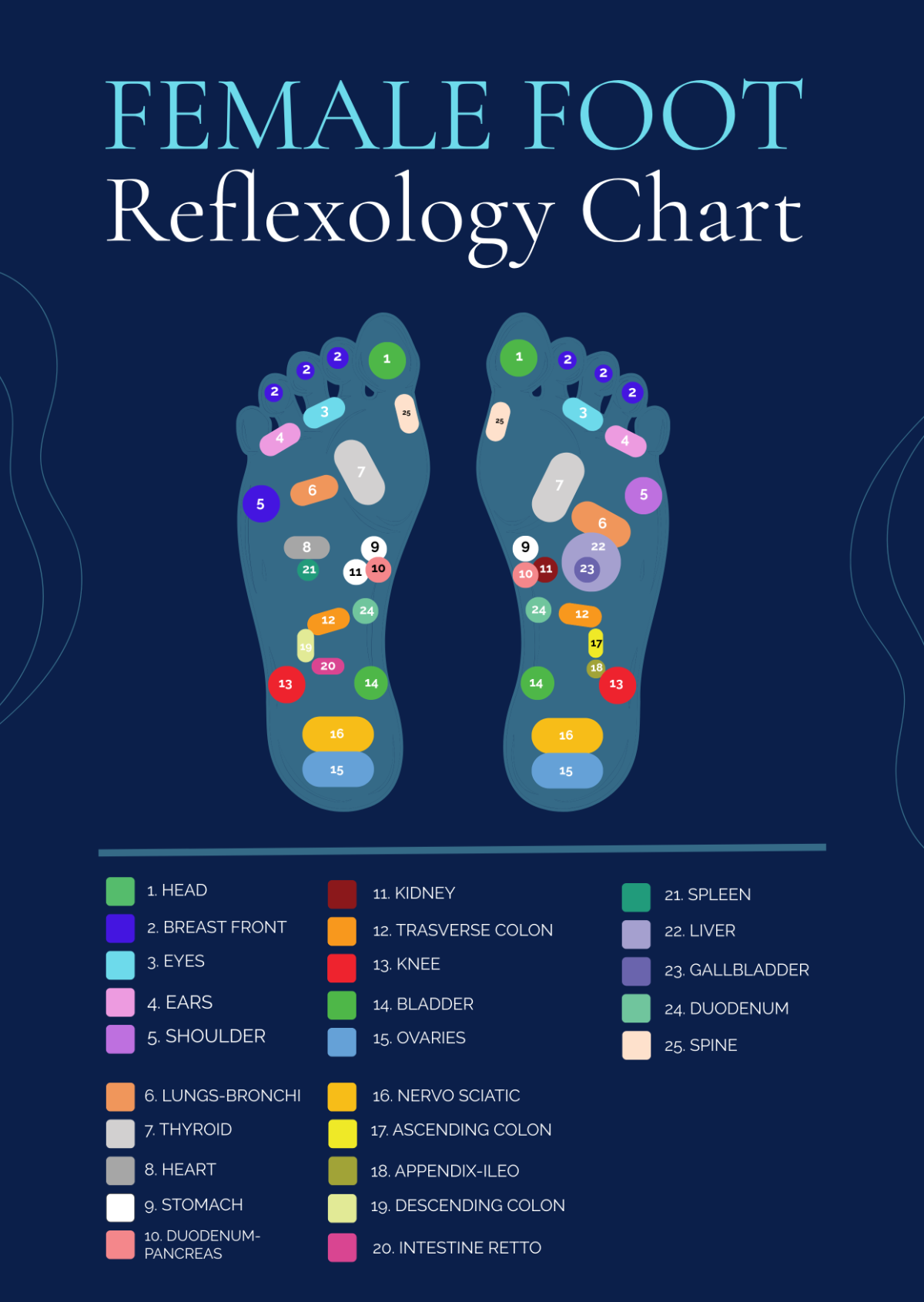 Free Reflexology Chart Templates Editable And Printable
