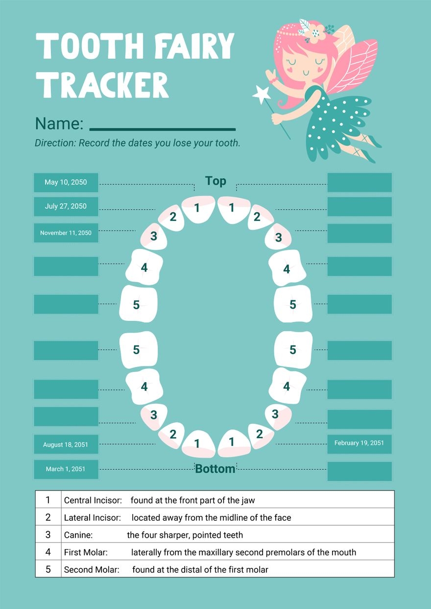 Free Tooth Chart Templates Editable And Printable