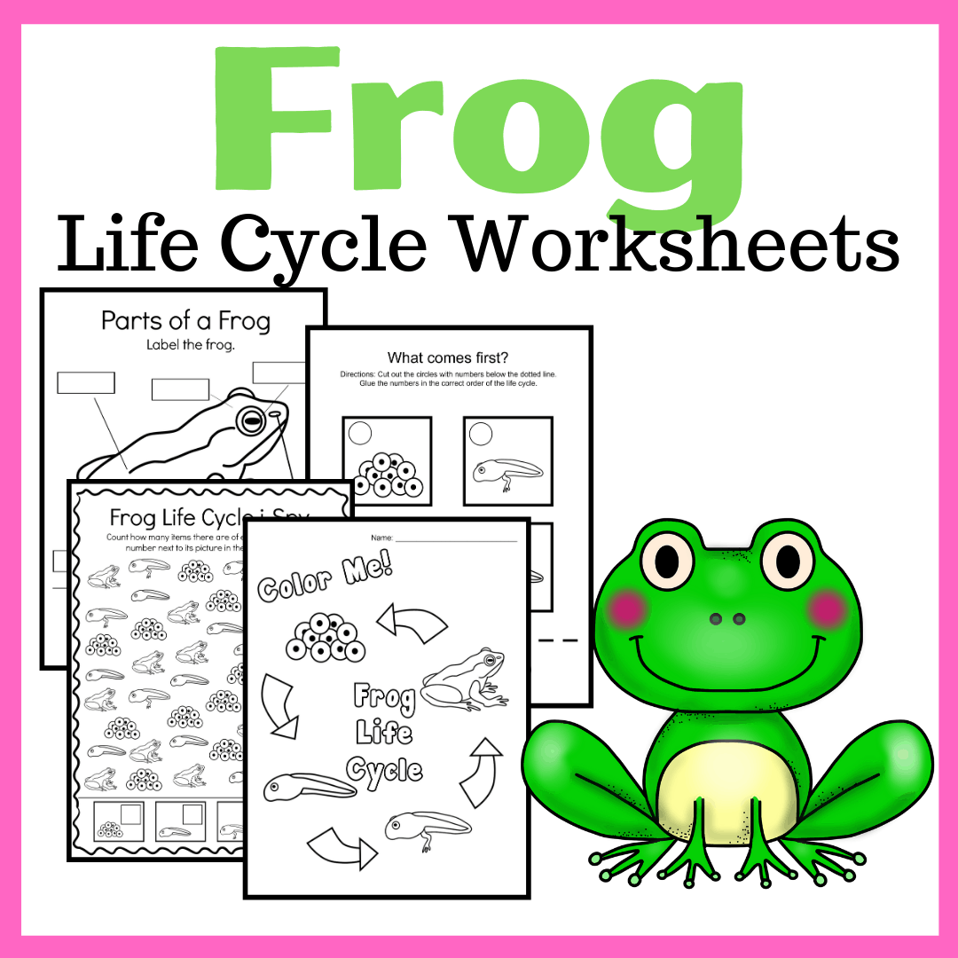 Frog Life Cycle Preschool Activities Homeschool Preschool Shop