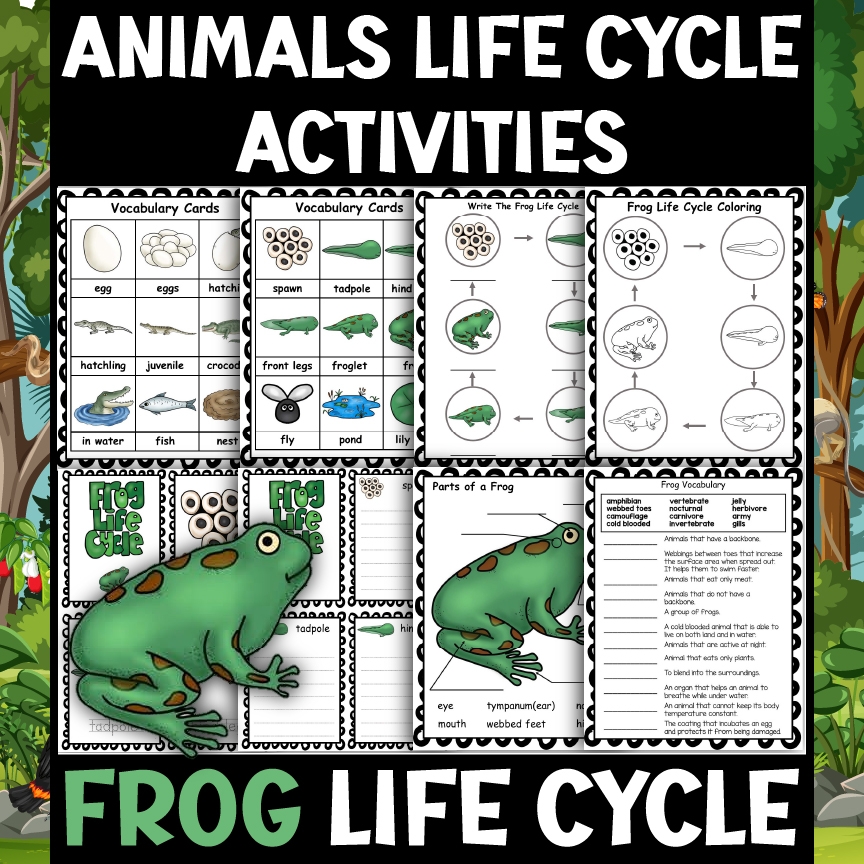 Frog Printable Worksheets