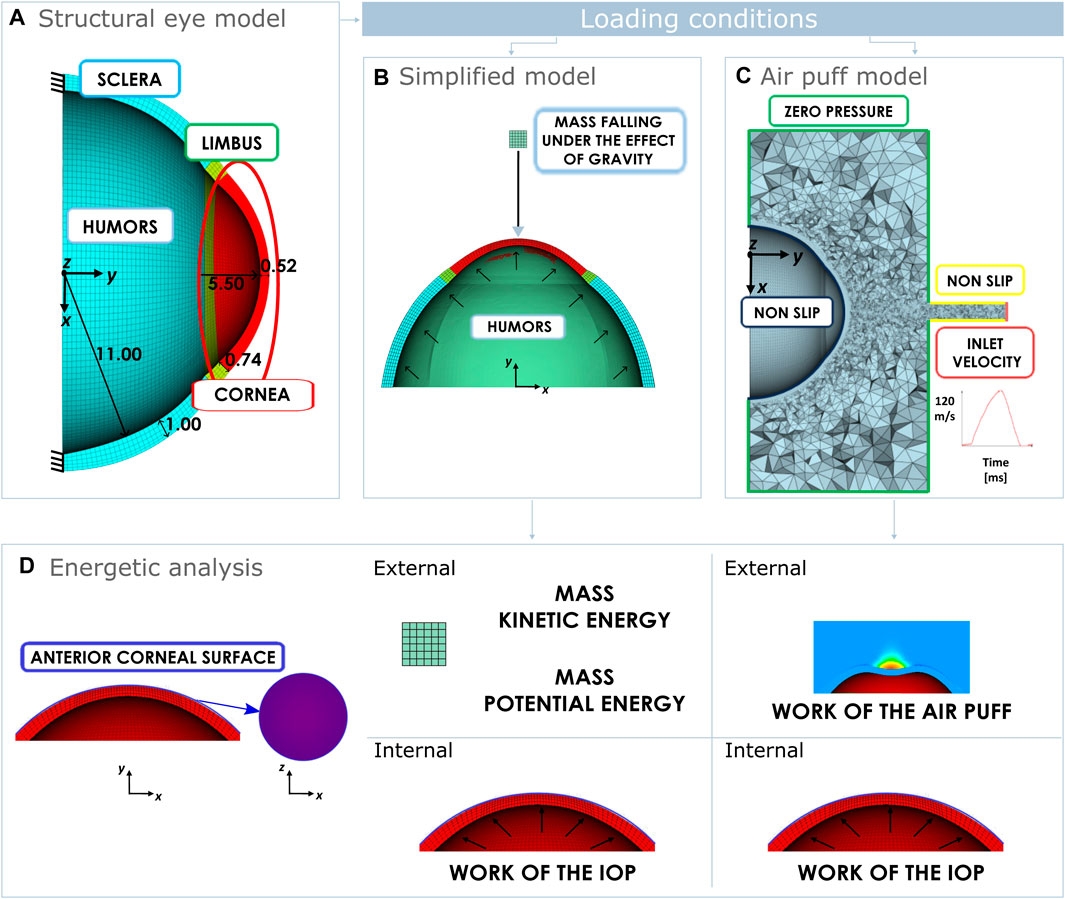Frontiers Non contact Tonometry Predicting Intraocular Pressure Using A Material corneal Thickness independent Methodology
