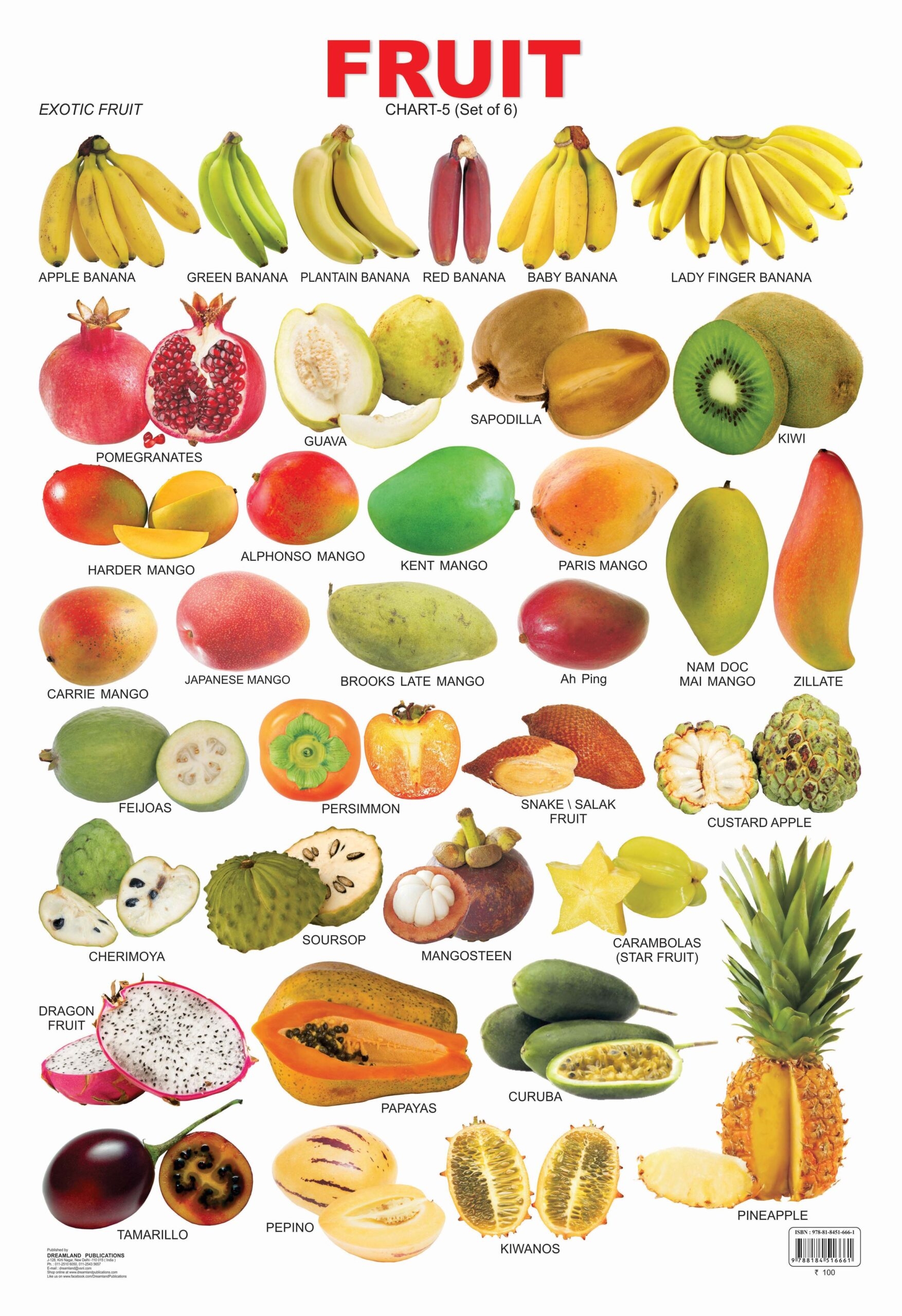 Fruit Chart 5 Fruit Chart 5