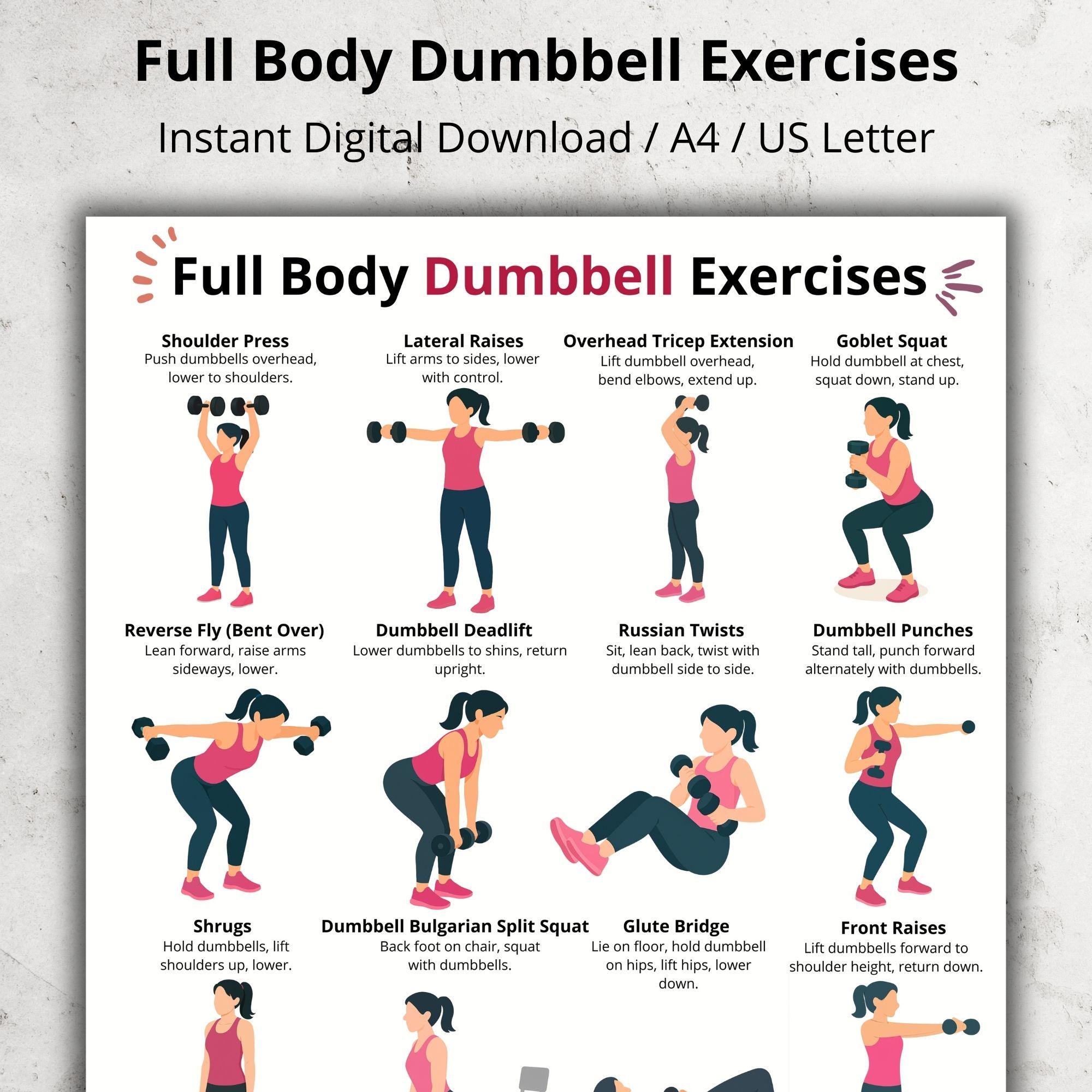 Full Body Dumbbell Workout Chart Home Dumbbell Exercises Printable Exercises Poster Home Fitness Routine Beginner Dumbbell Exercises Etsy
