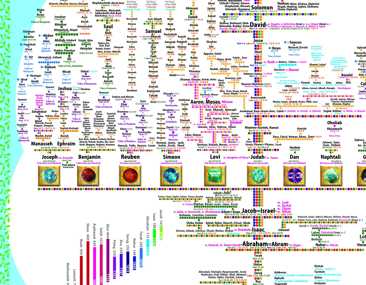 Genealogy Poster A Family Tree From Adam To Jesus