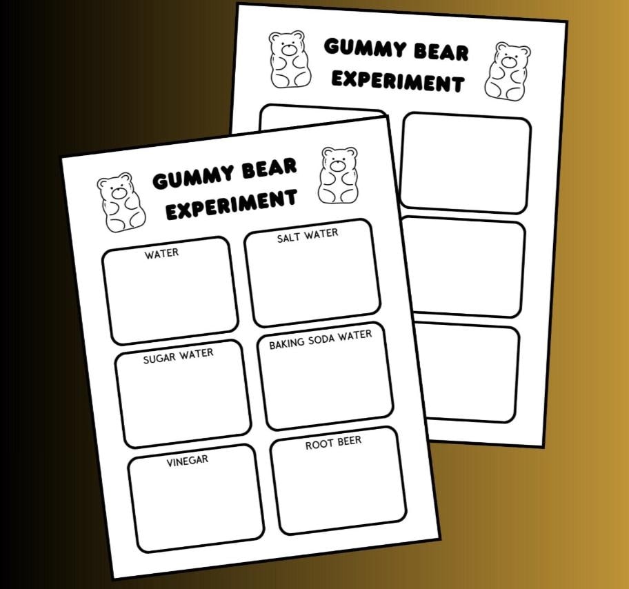Gummy Bear Experiment Worksheet Science Fair Printable PDF Fun STEM Activity For Kids Etsy
