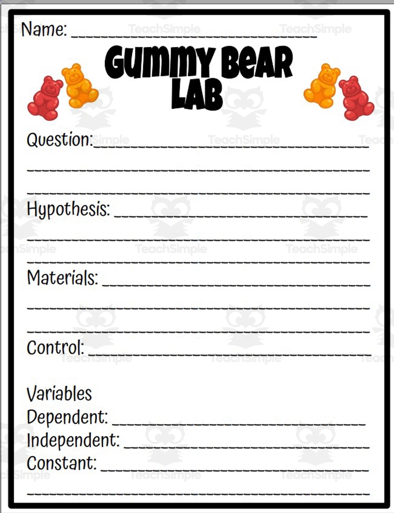 Gummy Bear Investigation Lab By Teach Simple