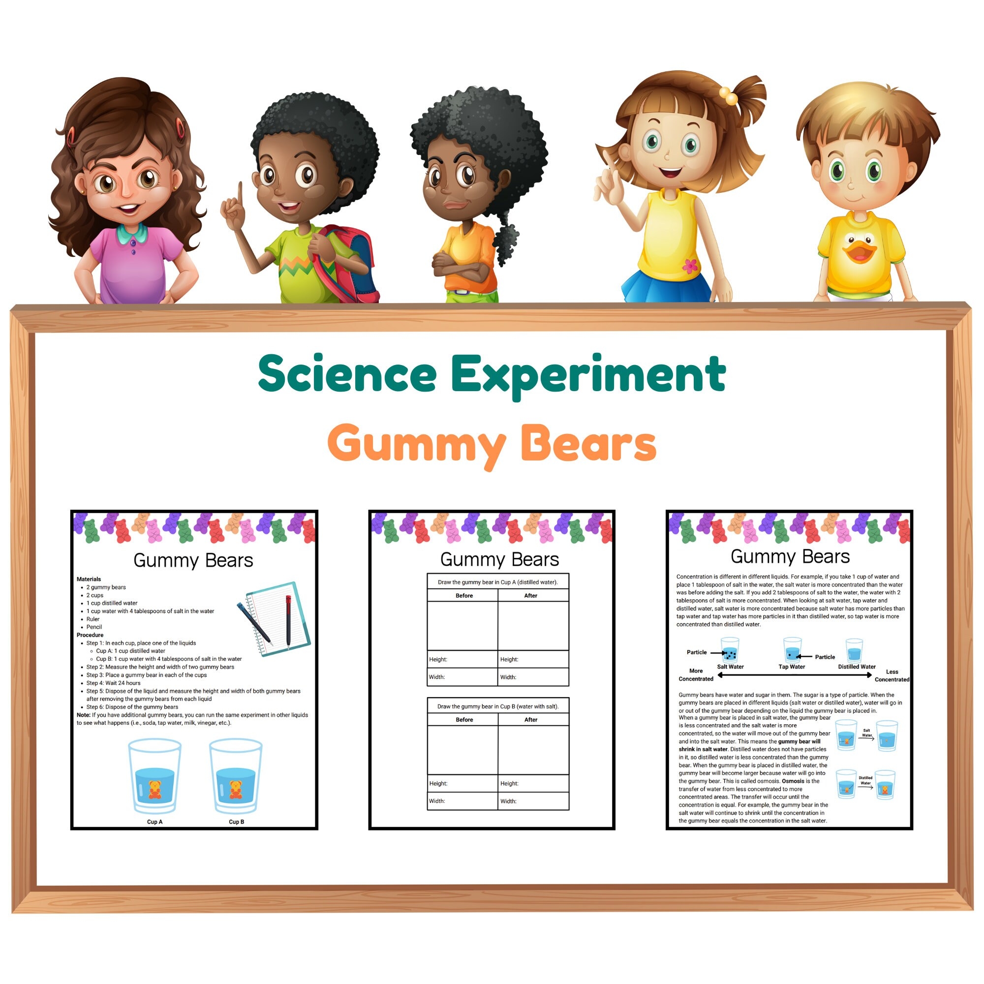 Printable Gummy Bear Experiment Worksheet