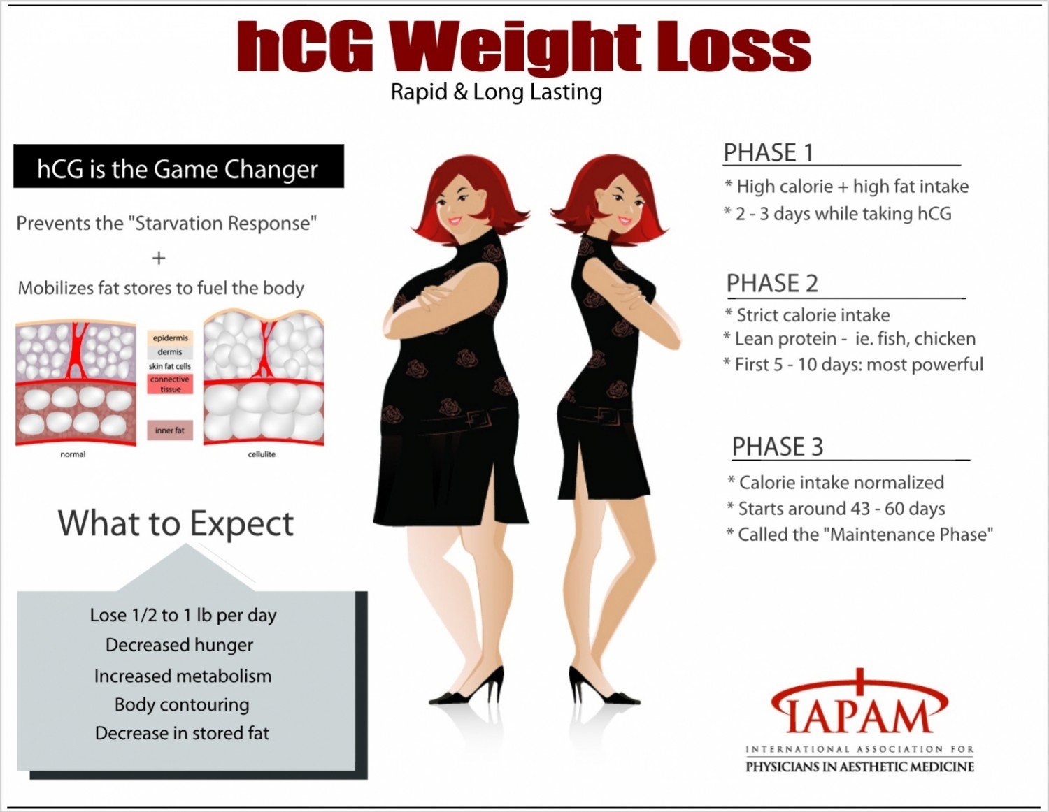 HCG Weight Loss Stages Dr McKenna s Program Guide 2026