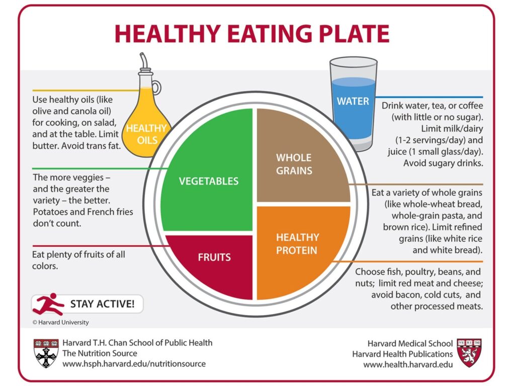 My Plate Chart Printable - Template Free Printable