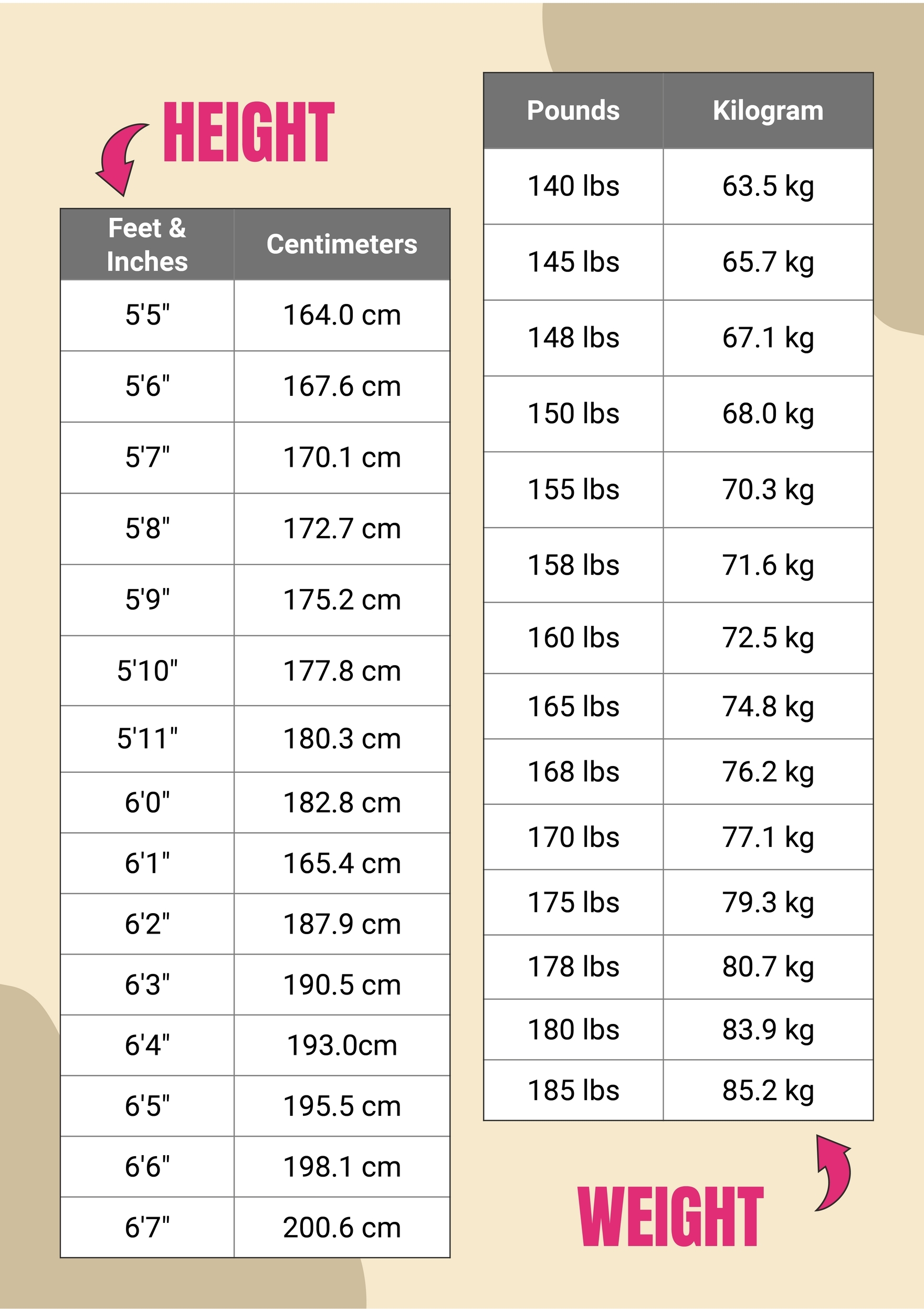 Height And Weight Conversion Chart For Adults In Illustrator PDF Download Template