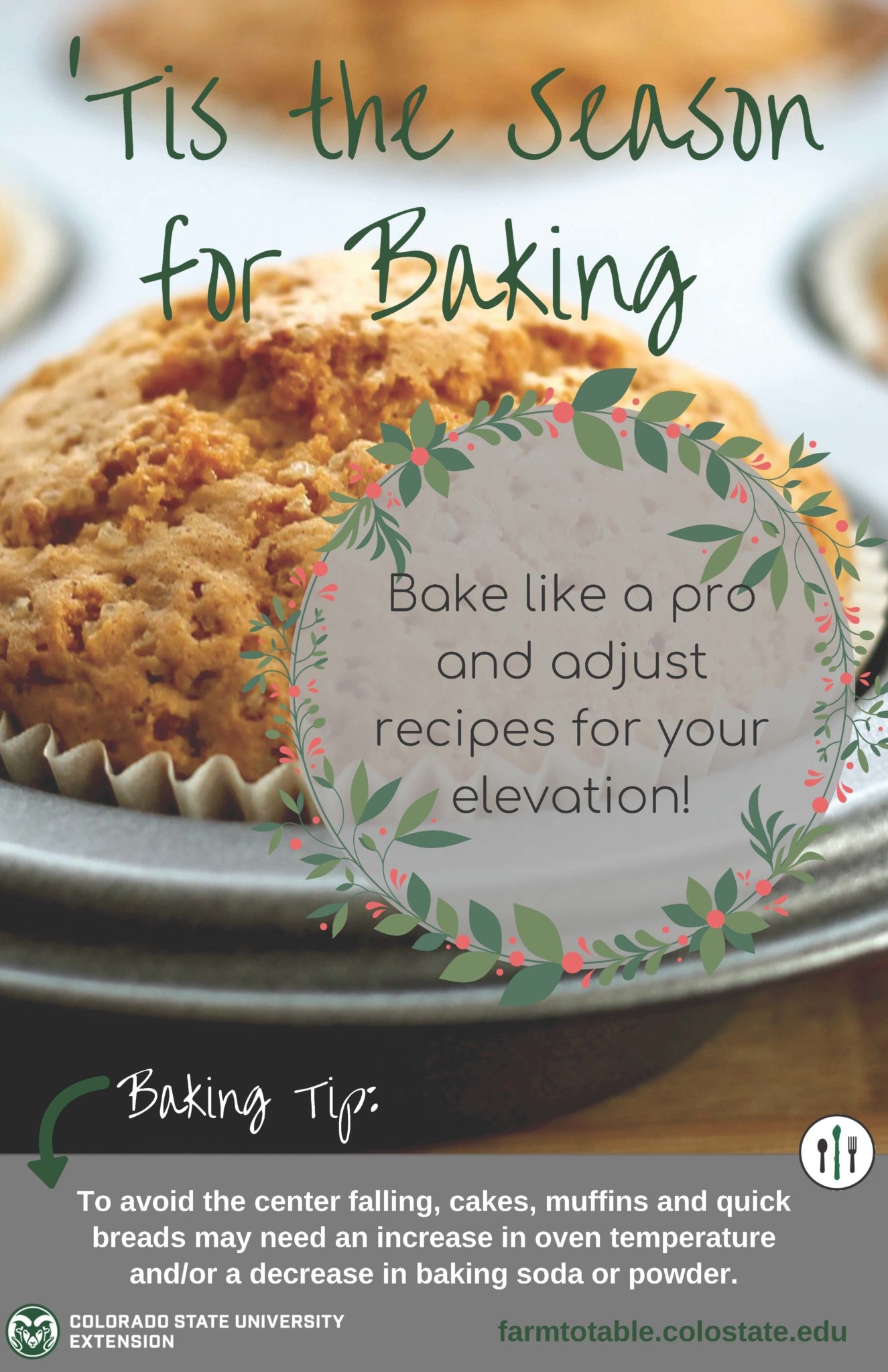 High altitude Baking CSU Offers Tips For Your Holiday Treats Colorado State University High altitude Baking CSU Offers Tips For Your Holiday Treats Colorado State University